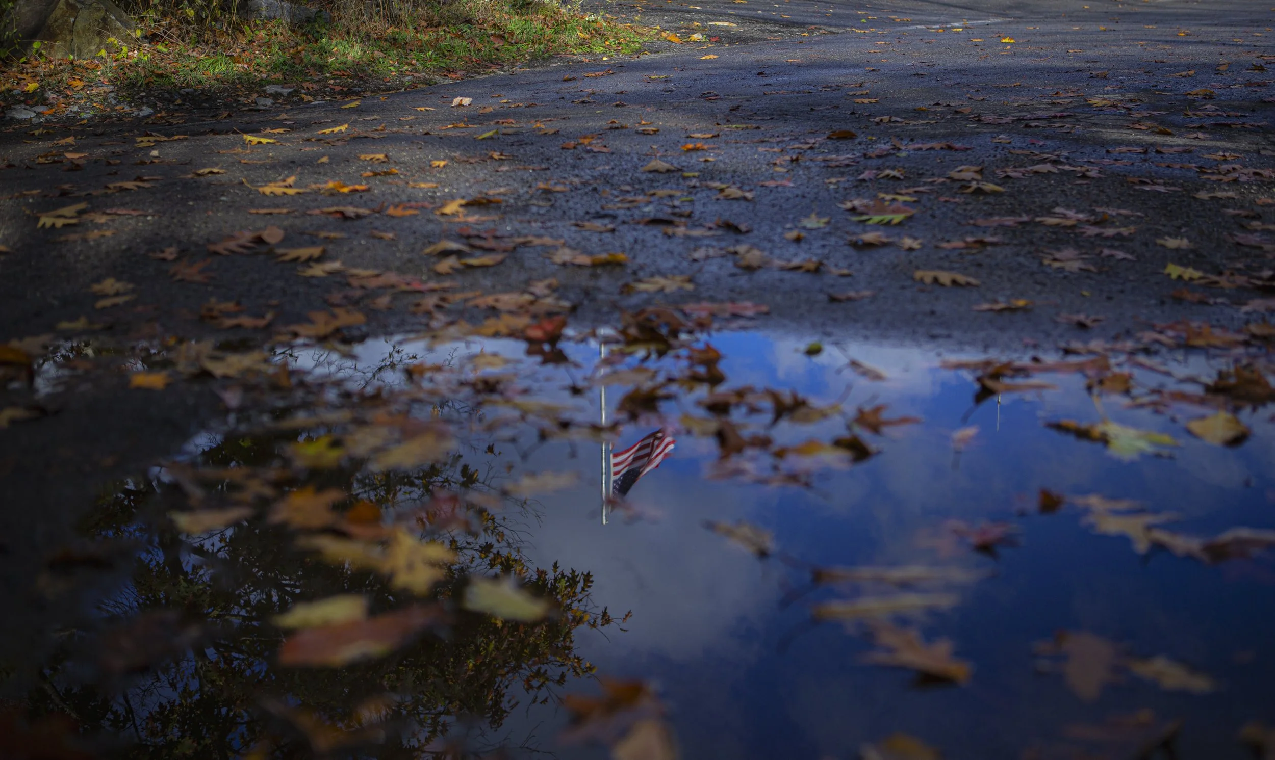 flag puddle 2.jpg