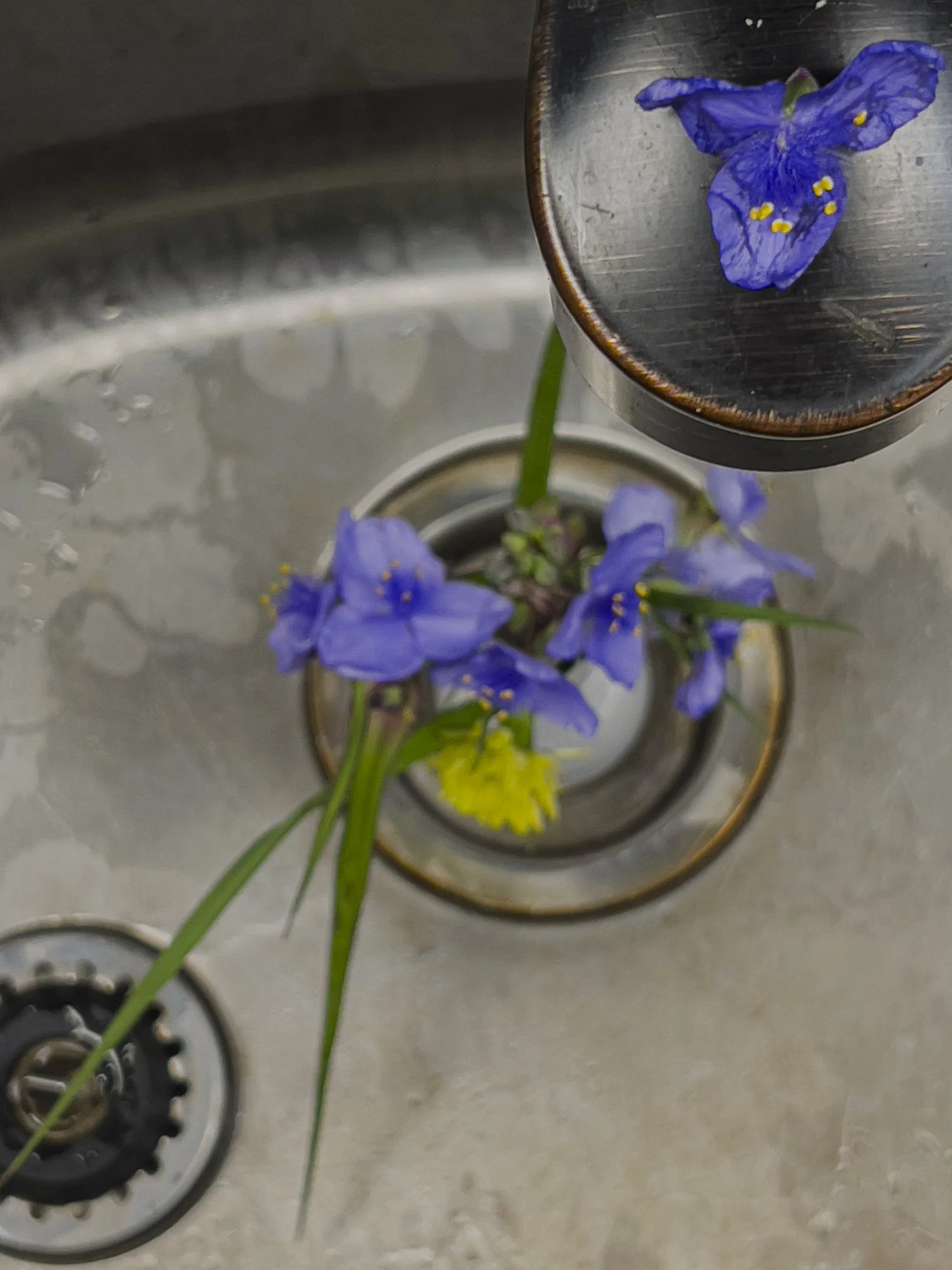 Anees Sink.jpg