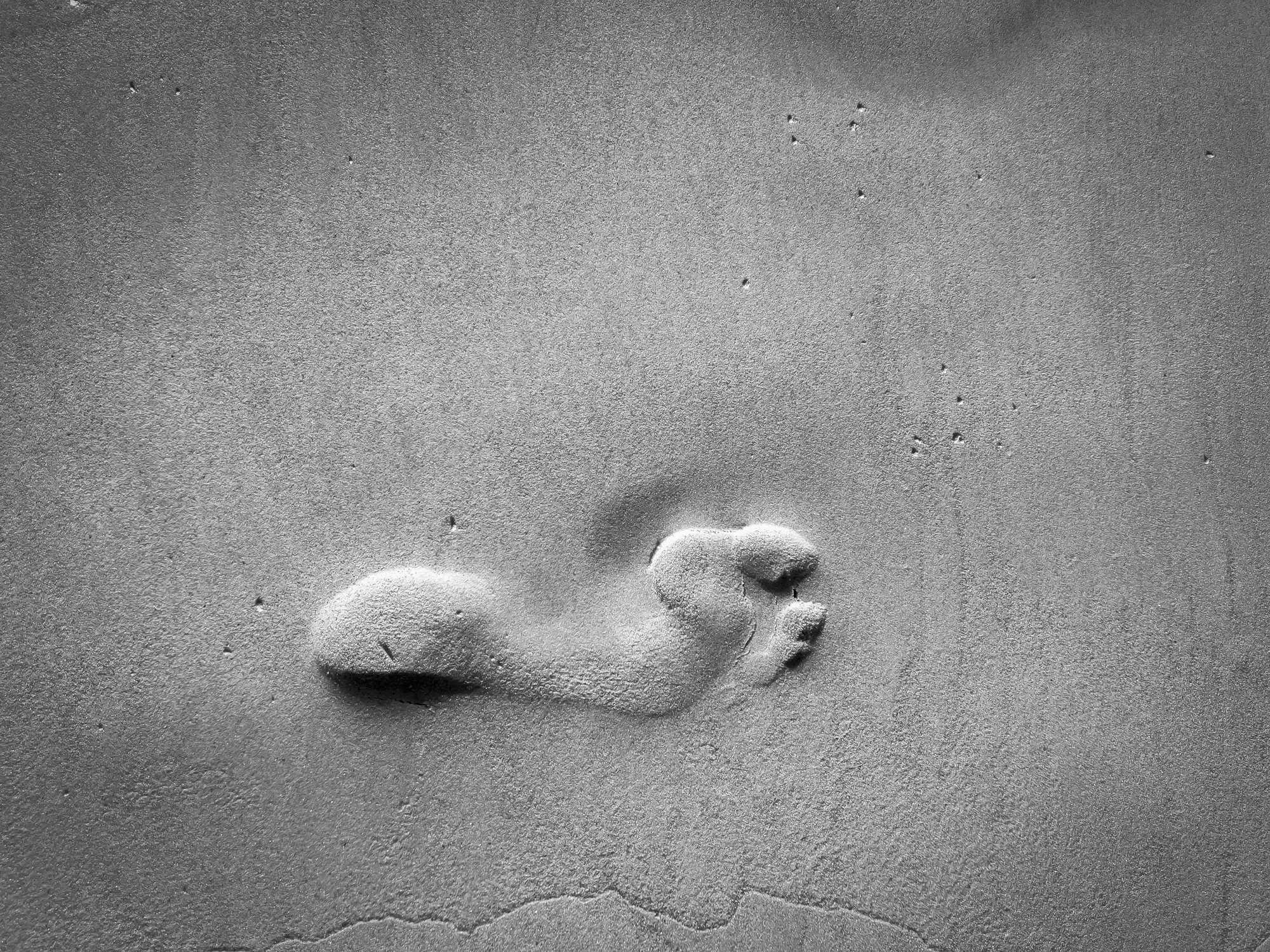 Footprint.jpg