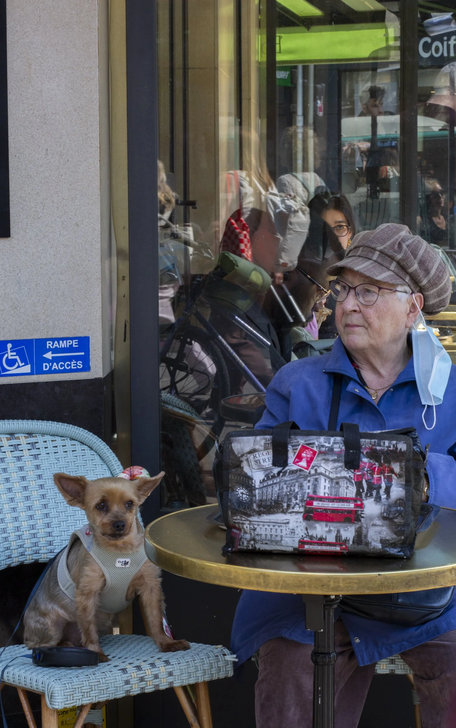 Lady with dog paris.jpg
