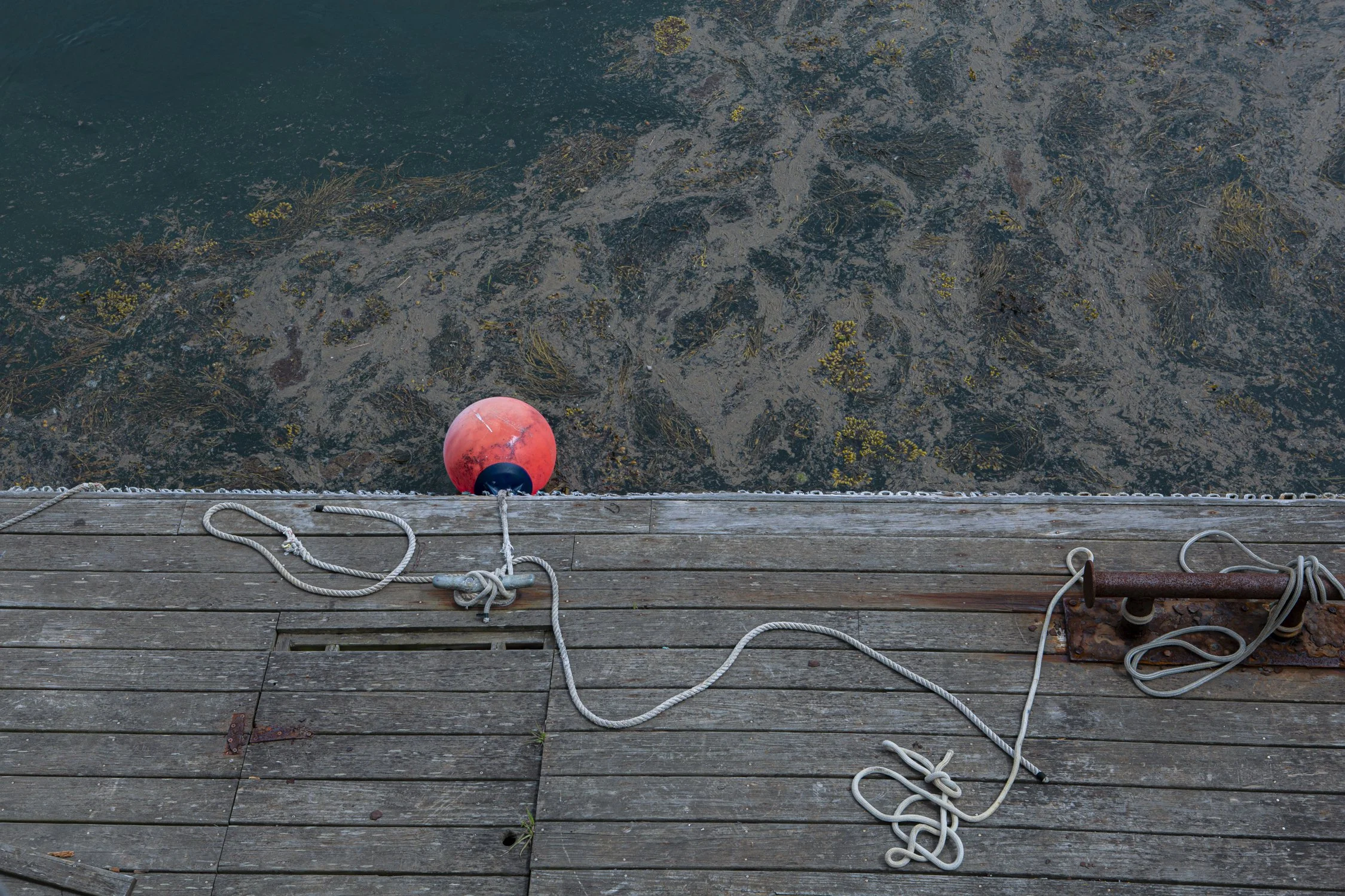 Buoy with rope float.jpg