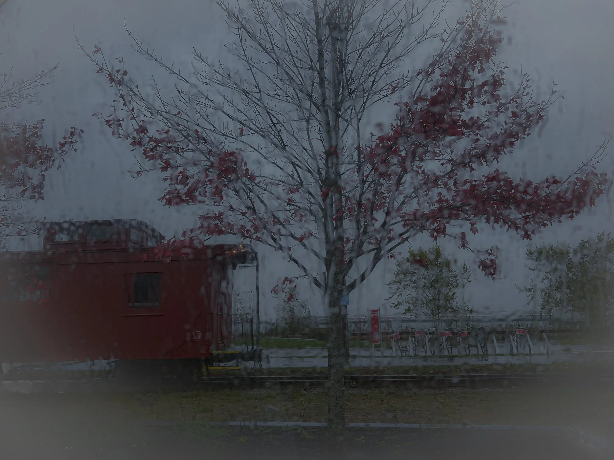 Rainy Train 1.jpg