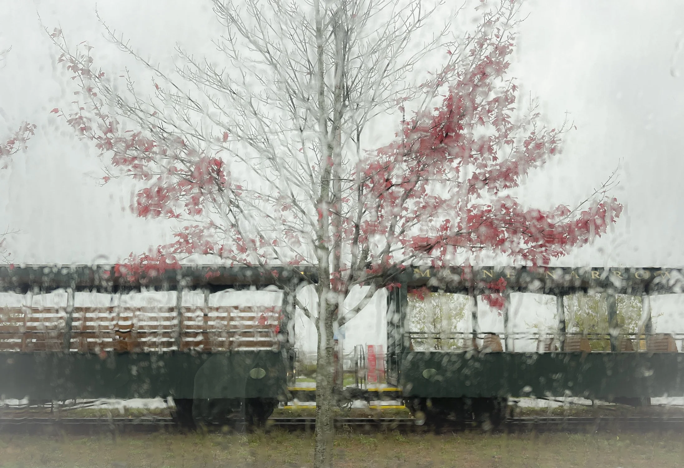 Rainy Train 2.jpg
