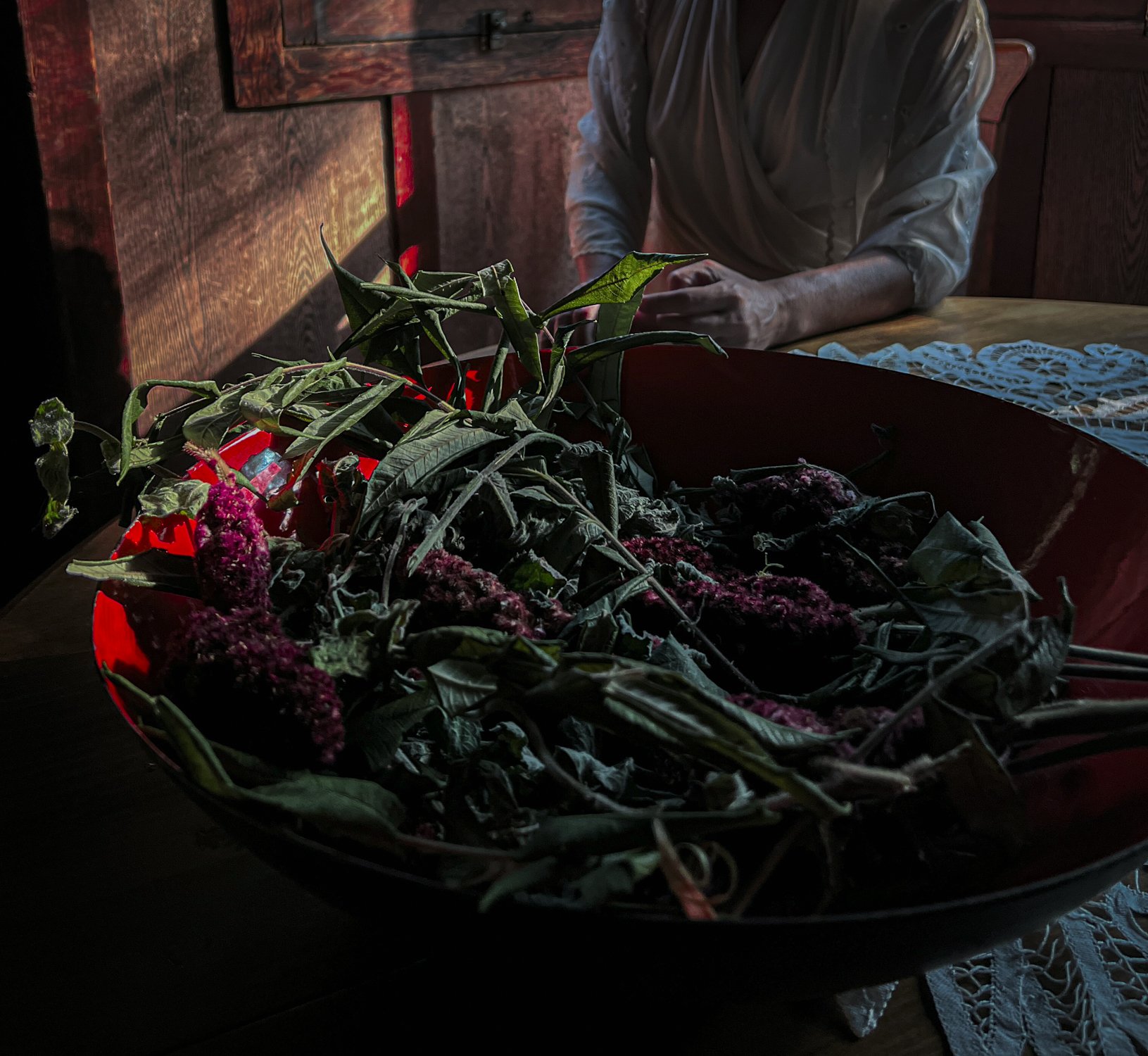 Judy  at table sicamore.jpg