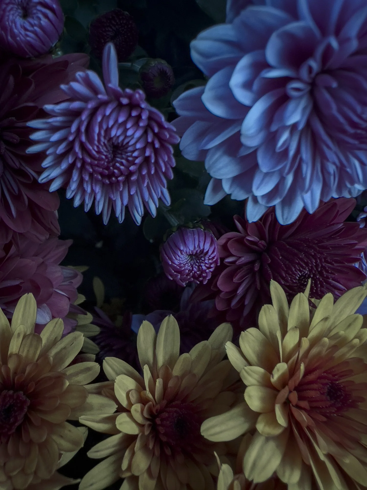 Flower bunch.jpg