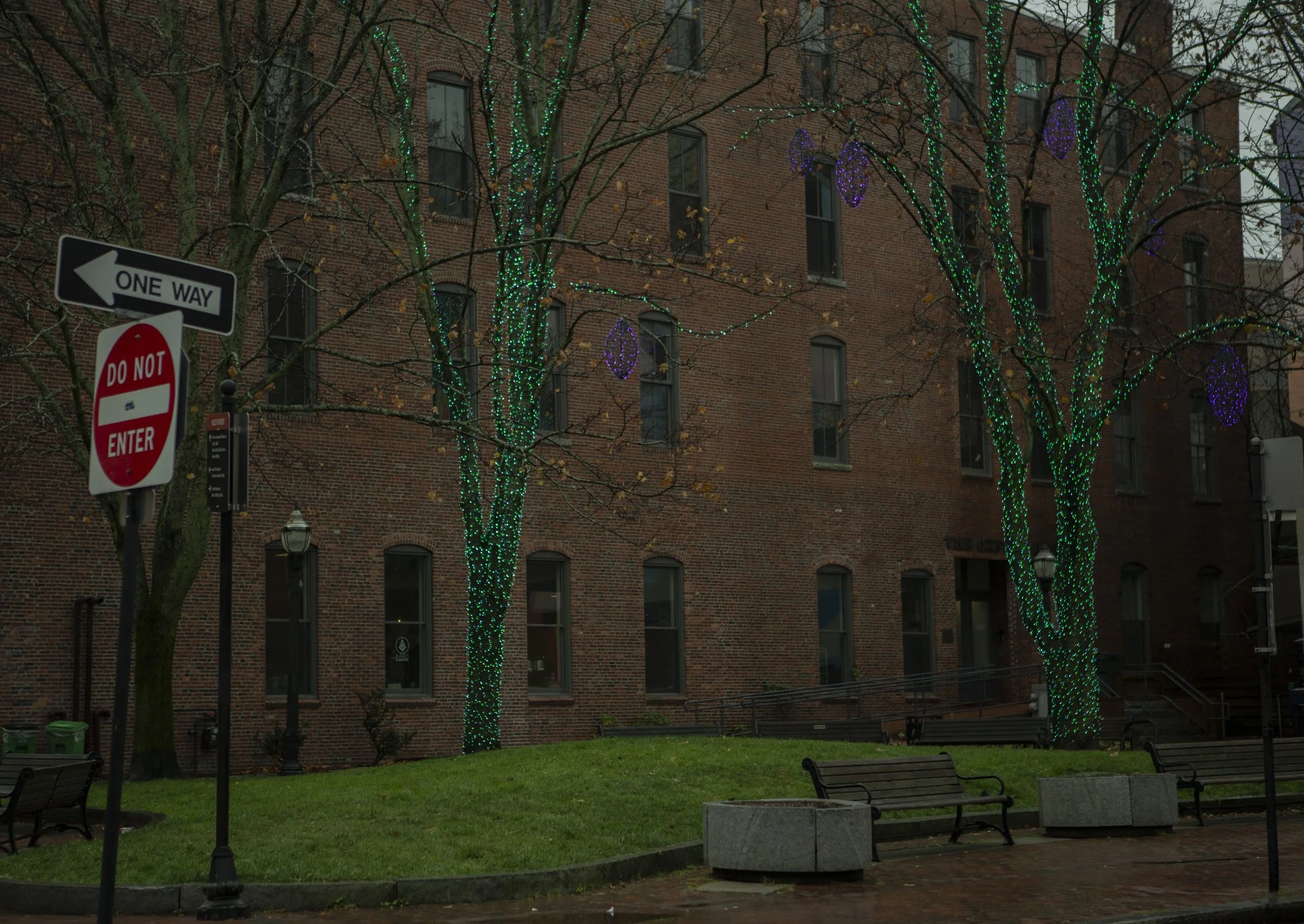 Lit Trees park.jpg