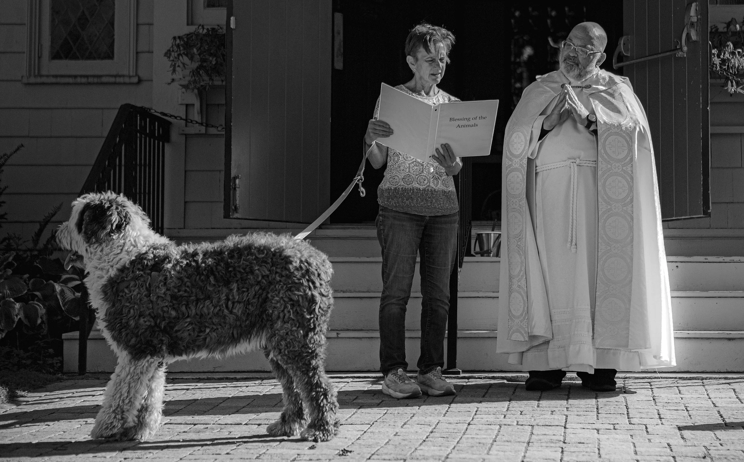 BlessingOfTheAnimals_0002.jpeg