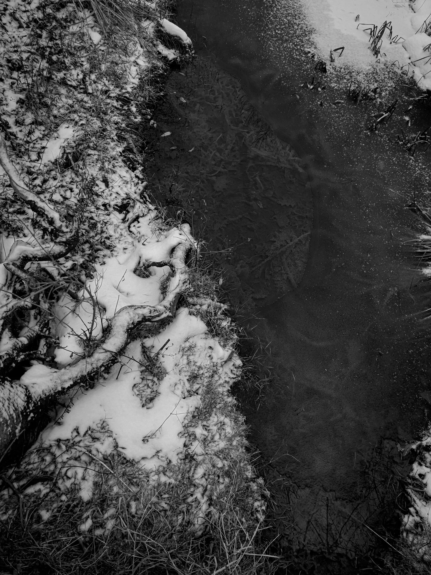 From above frozen creek.jpg