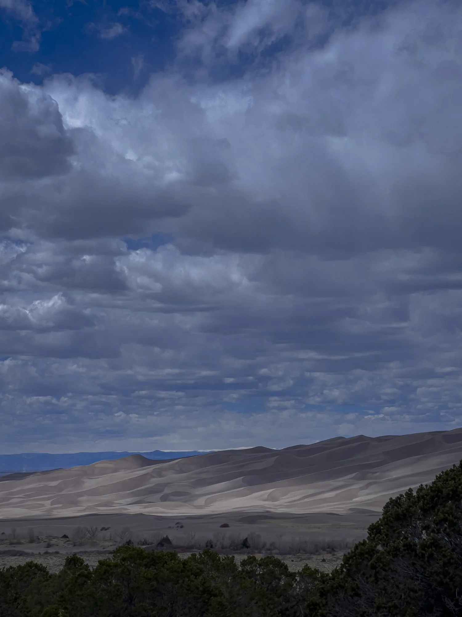 sand dunes CO 3.jpg