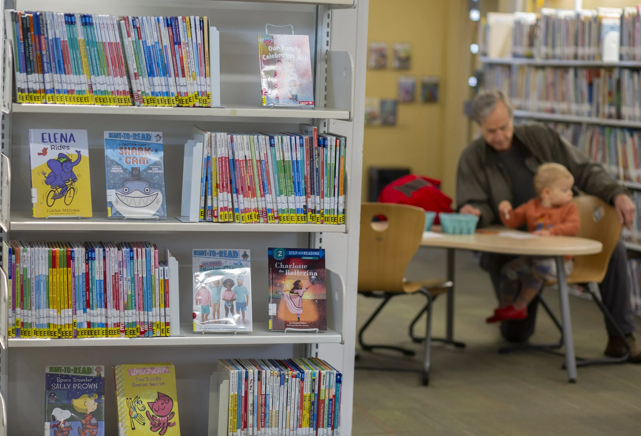 Forest Morning 2-05.jpg