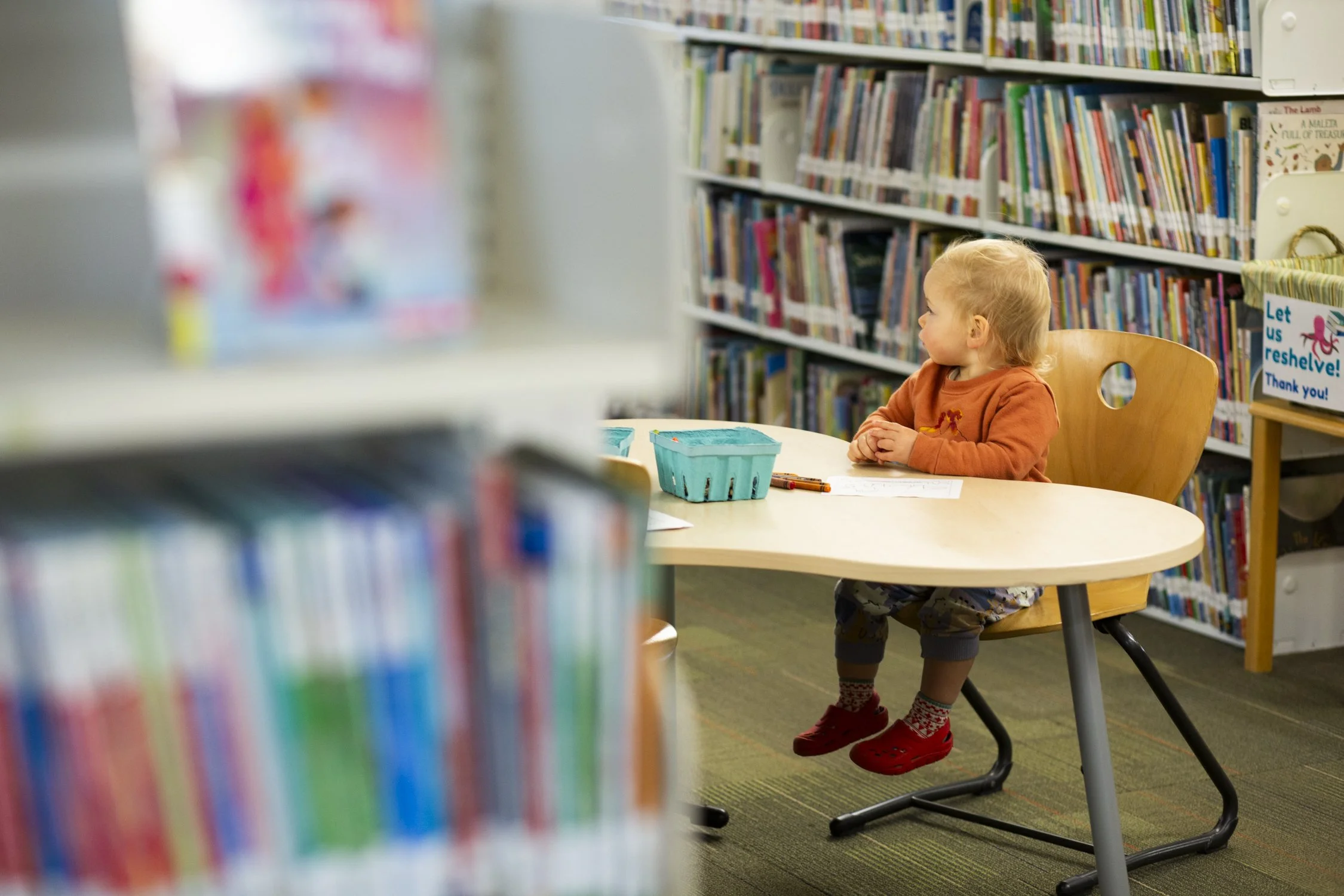 Forest Morning 2-06.jpg