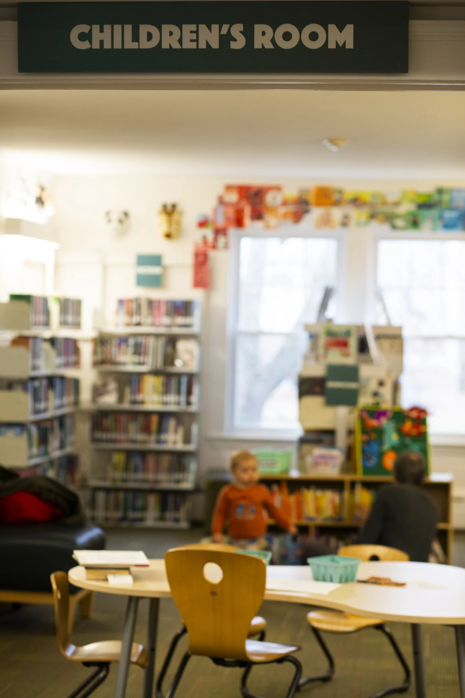 Forest Morning 2-07.jpg