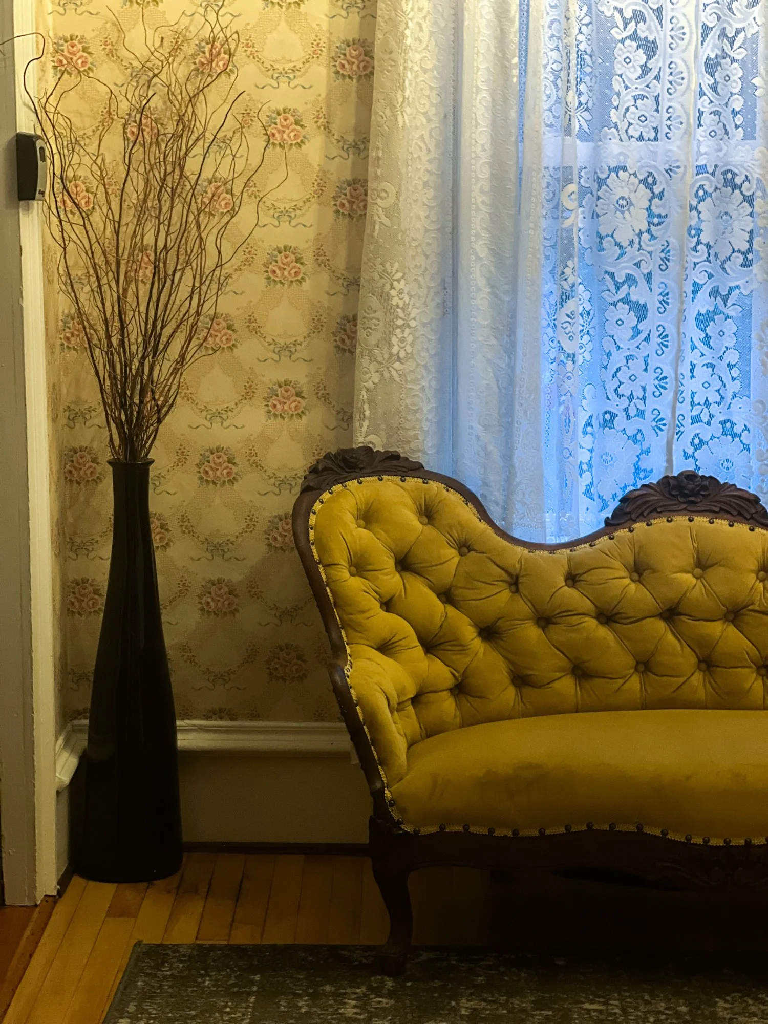 Joyve Maynard Writing Retreat 2025-06.jpg