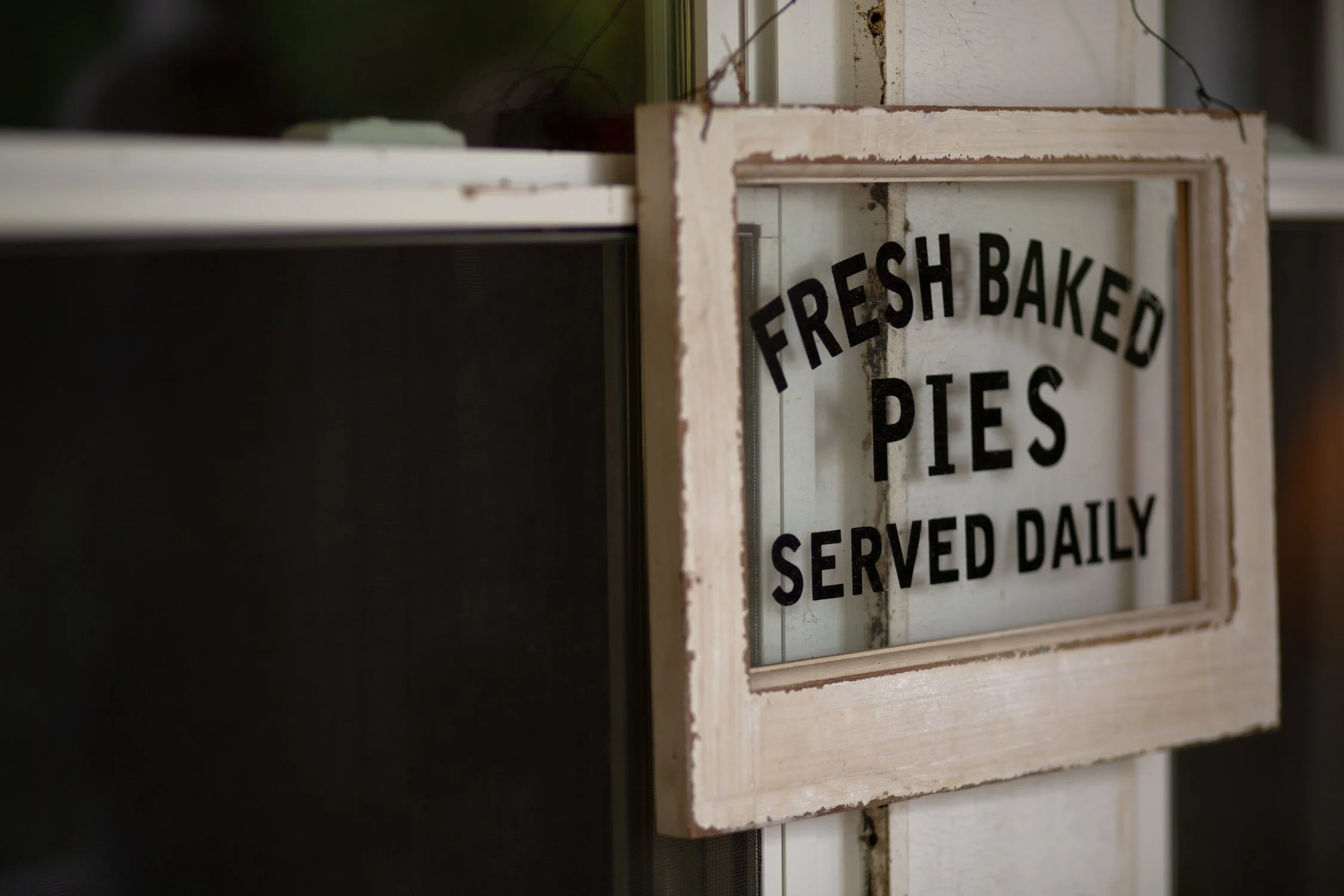 Joyve Maynard Writing Retreat 2025-11.jpg