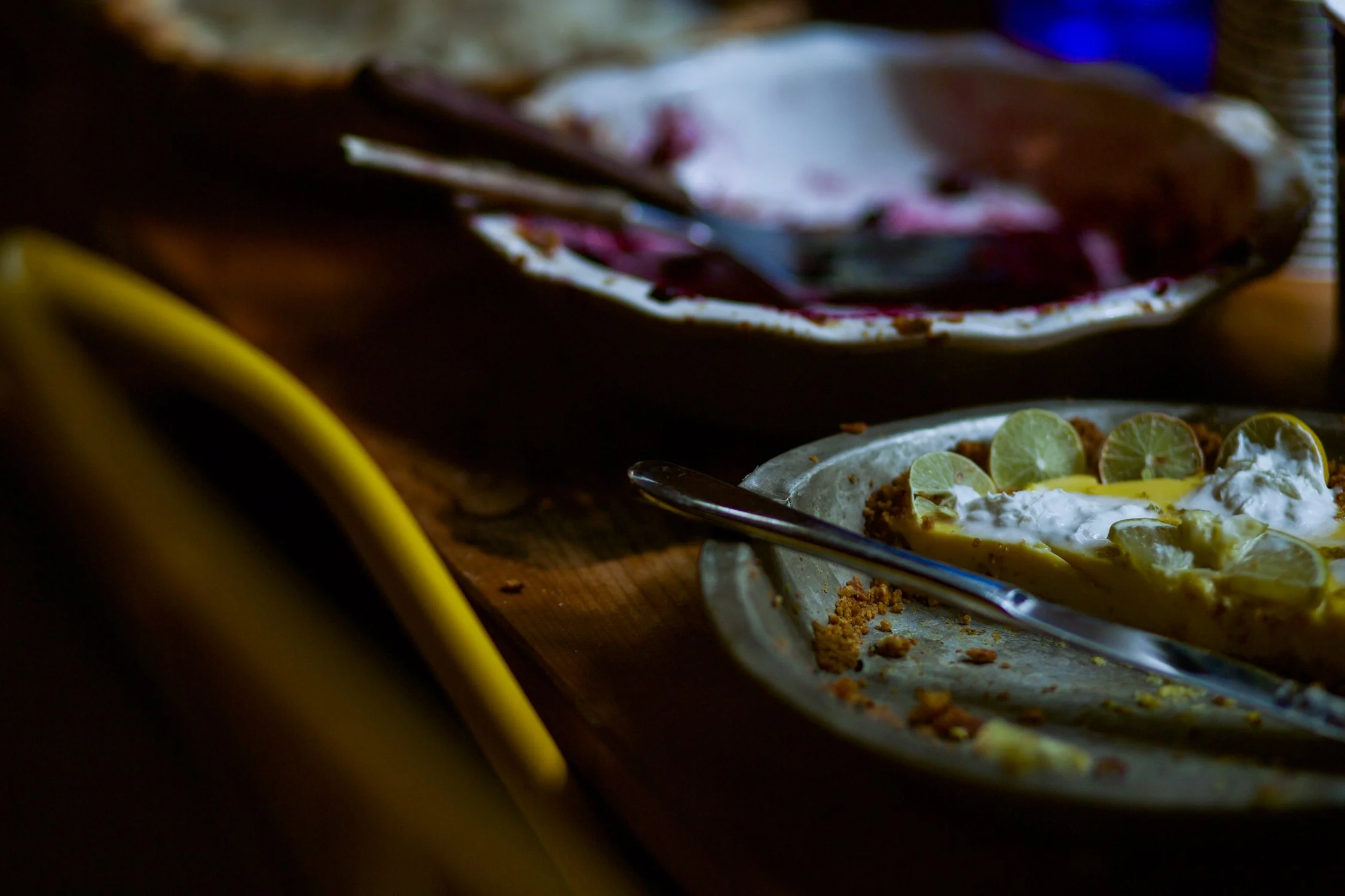 Joyve Maynard Writing Retreat 2025-15.jpg