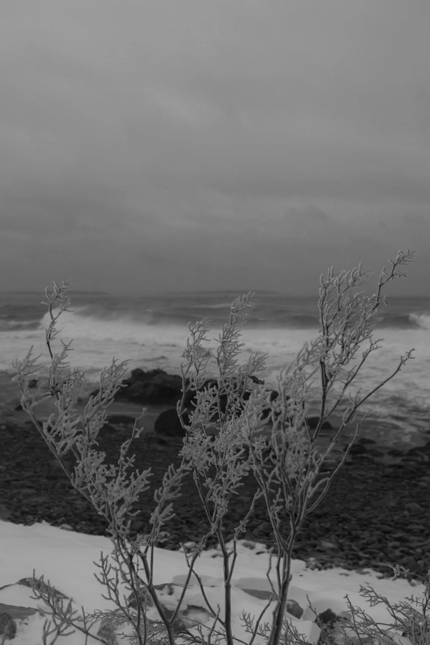 frozen backshore 2026.jpg