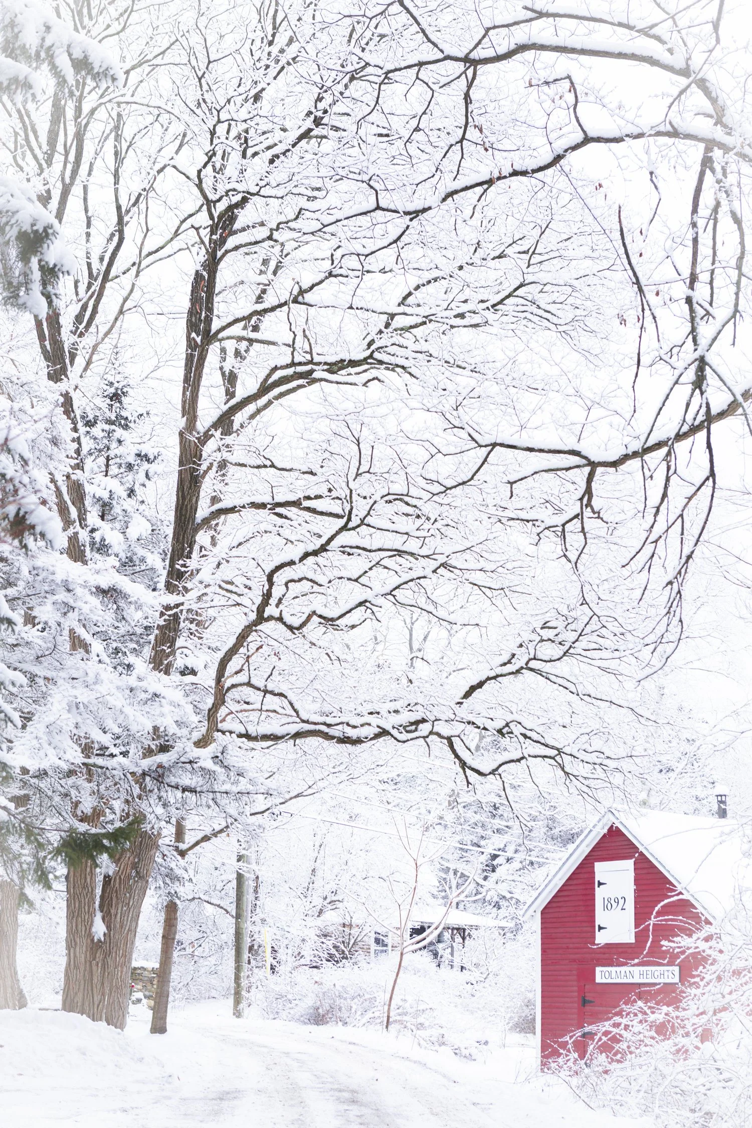 Blue morning marsh-1.jpg