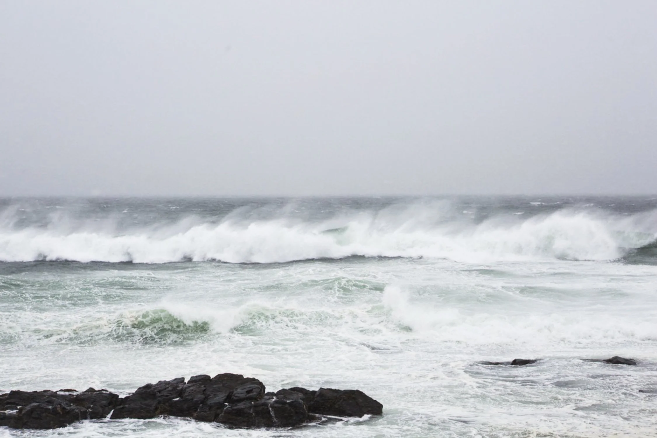 Back shore blizzard feb 2026-3.jpg
