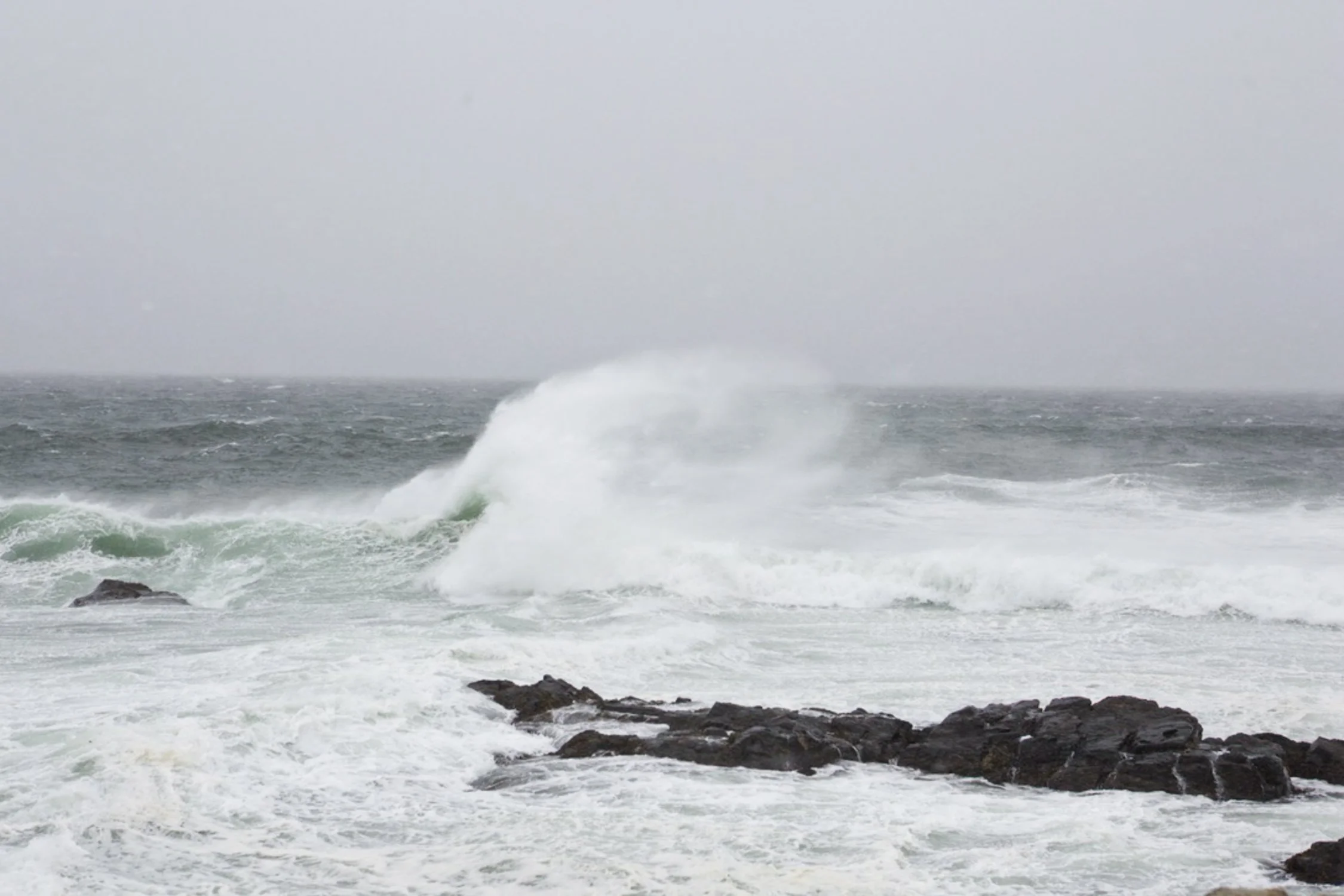 Back shore blizzard feb 2026-4.jpg