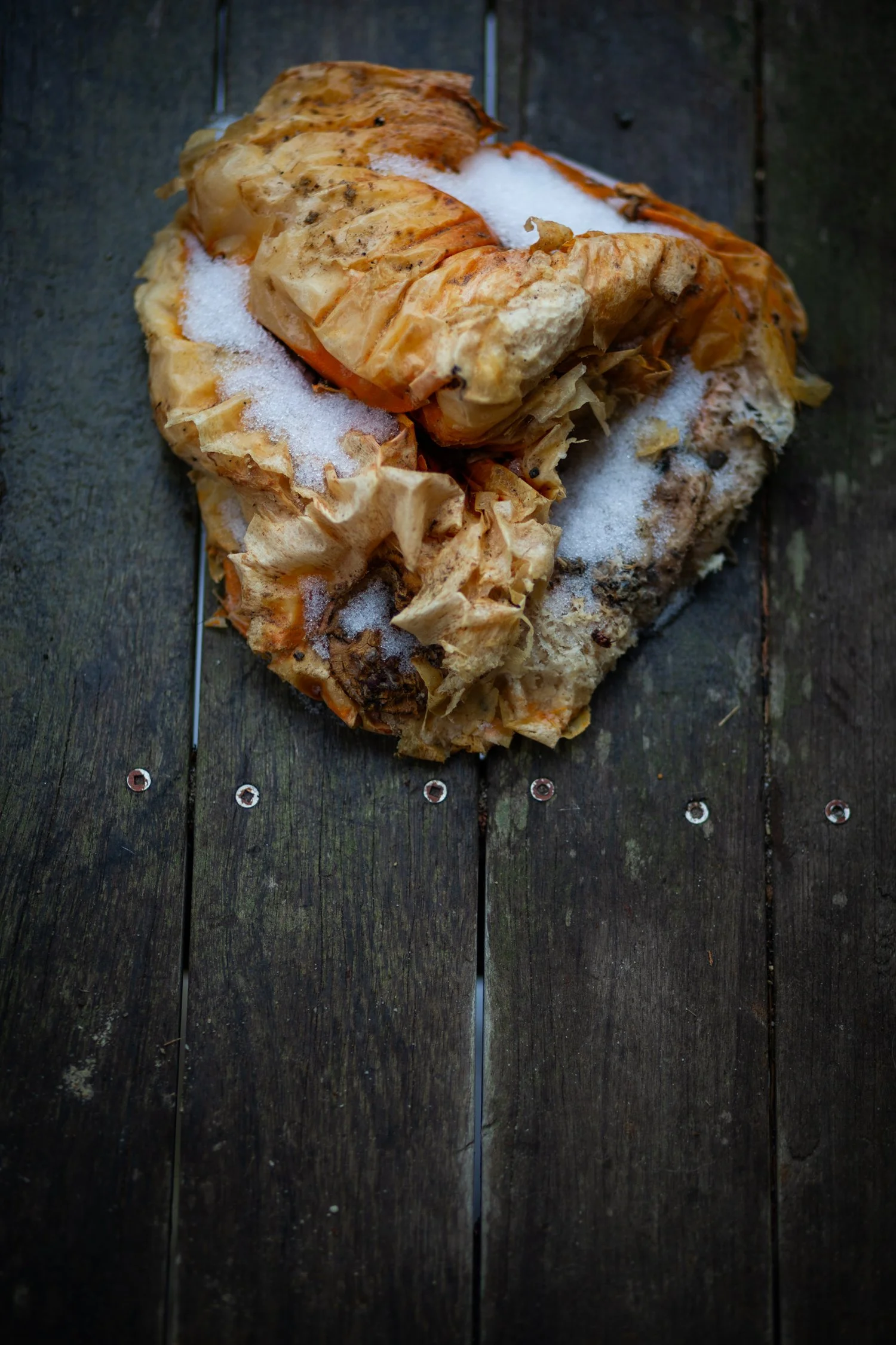 pumpkin March 2026.jpg