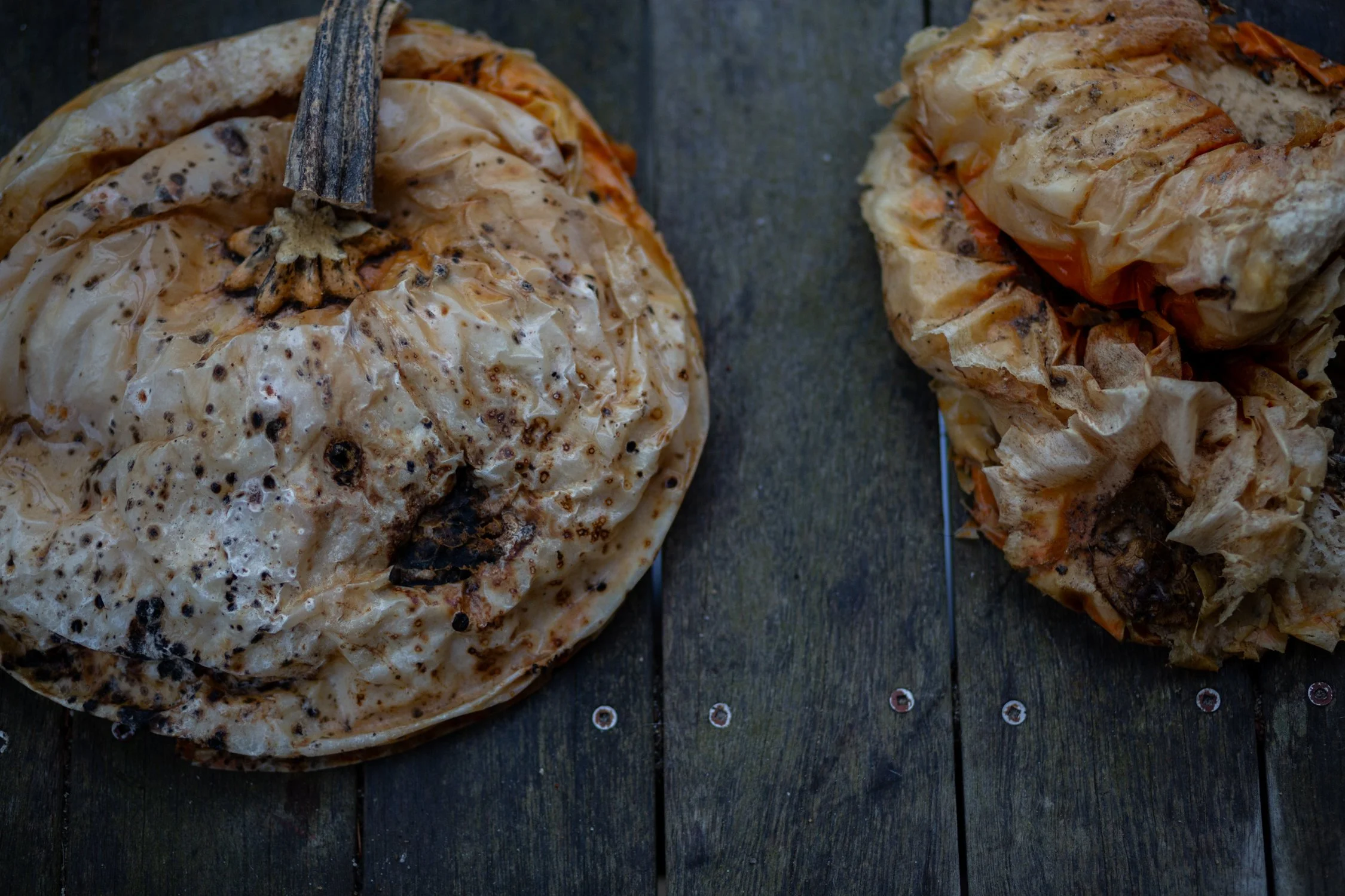 pumpkin March 2026-1.jpg