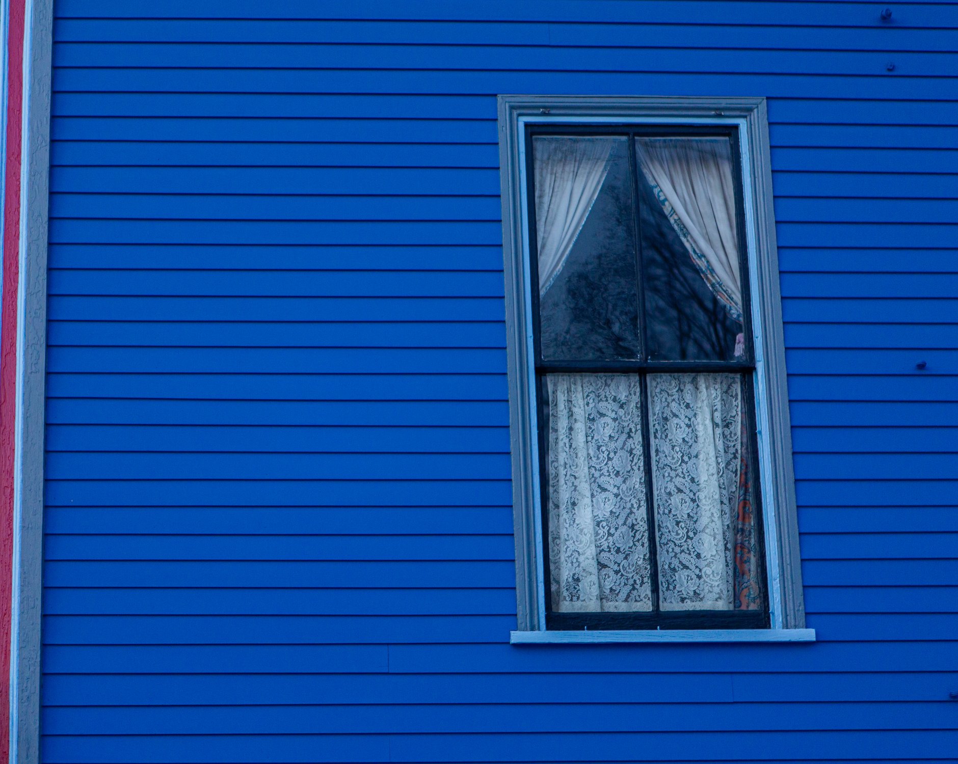 Blue house pink trim 2026.jpg