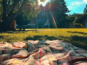 Summer Kick Off Picnic