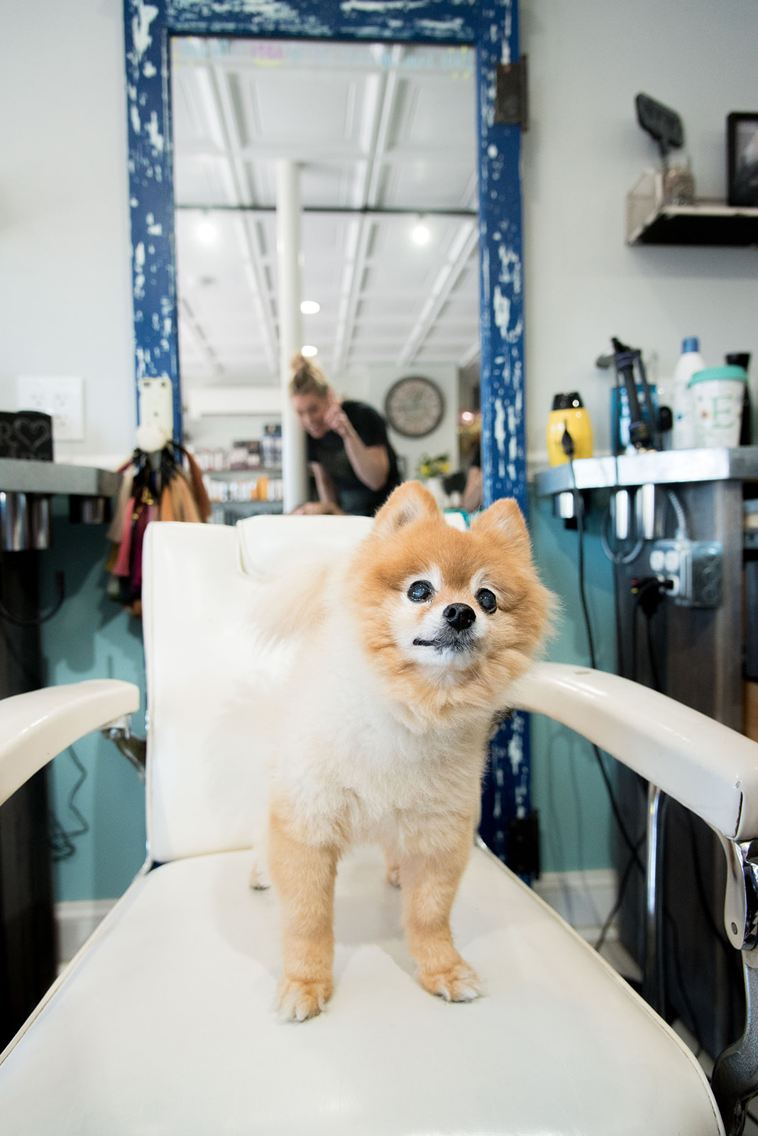 xpressive hair salon bradley beach xpressive hair salon bradley beach