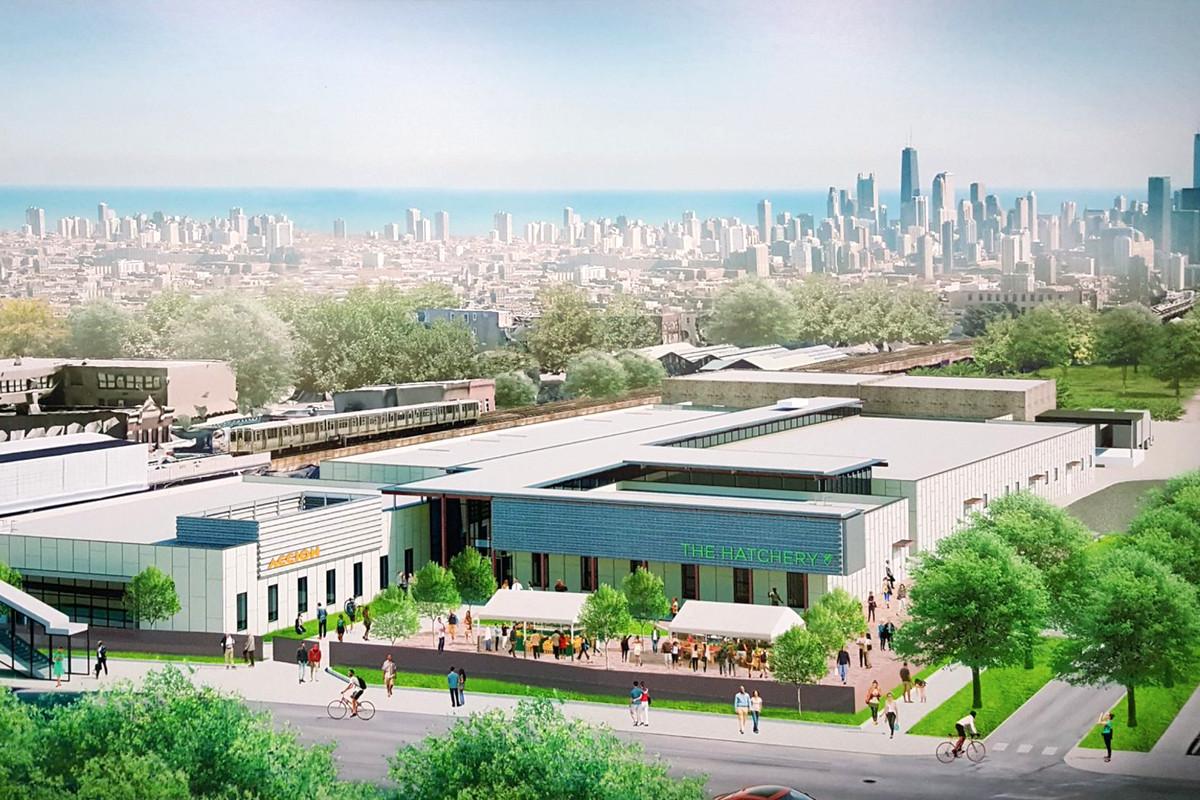 The Hatchery is a Chicago food and beverage incubator helping grow successful businesses. | Photo: The Hatchery