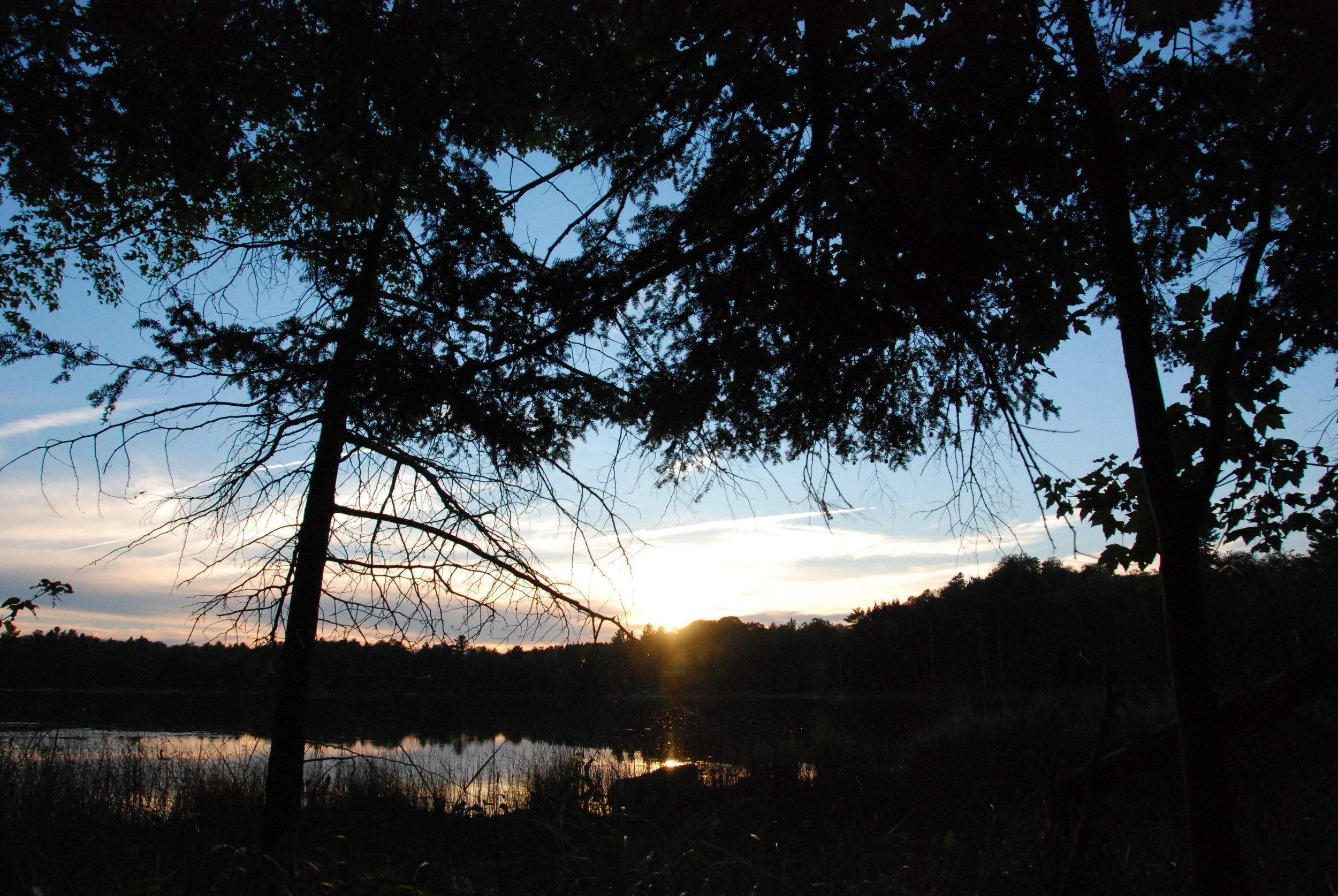 Murphy's Point Provincial Park