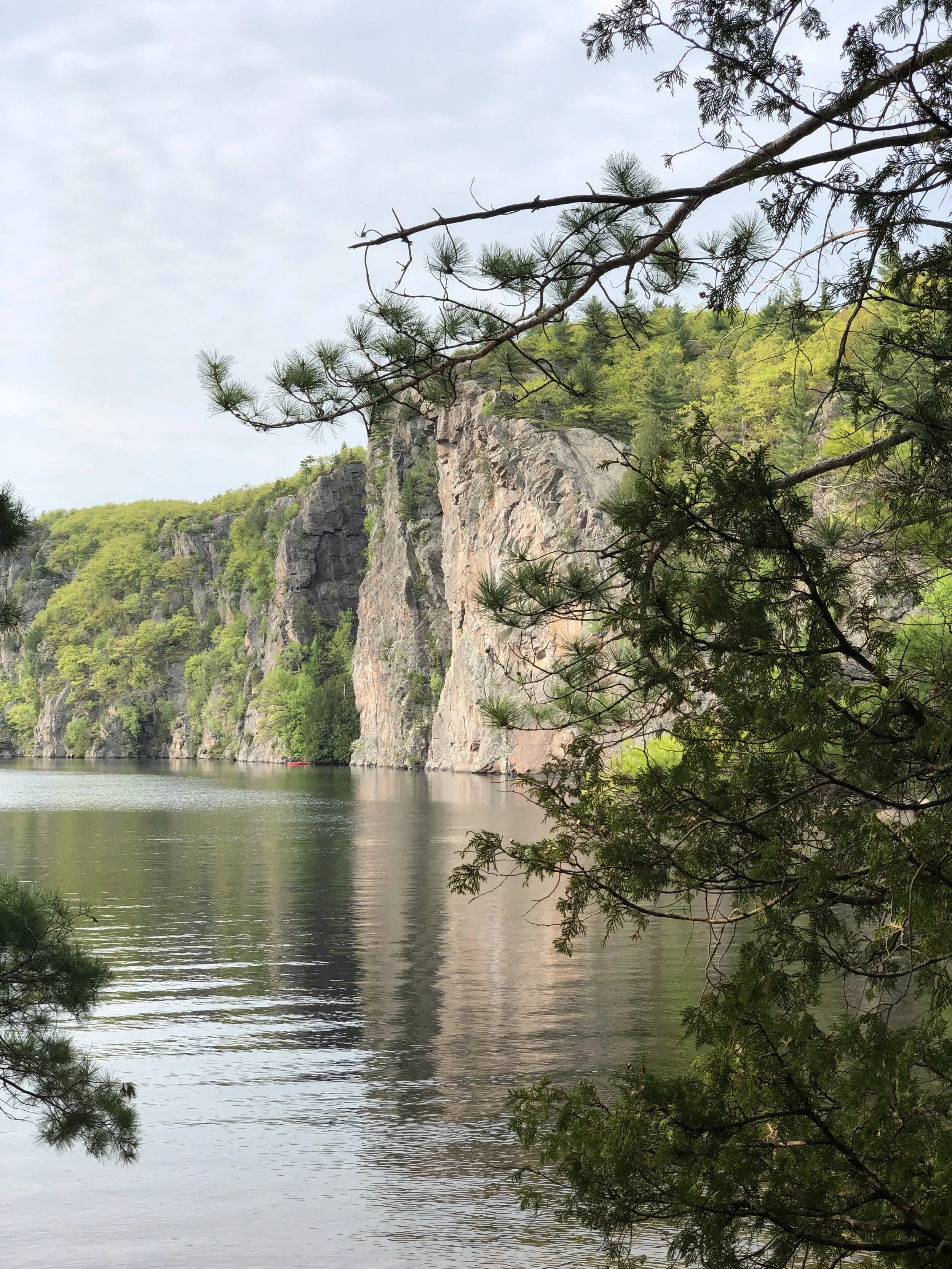 Bugs, Bugs and More Bugs!