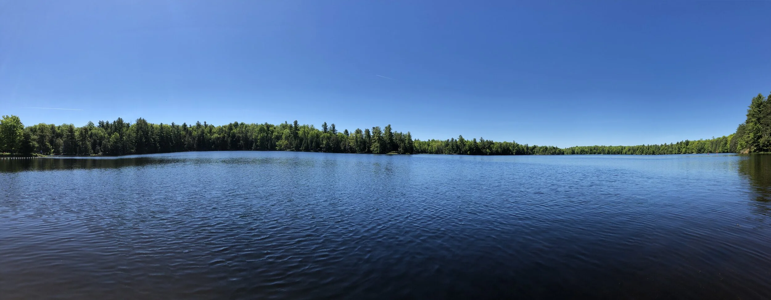 view from the dock!