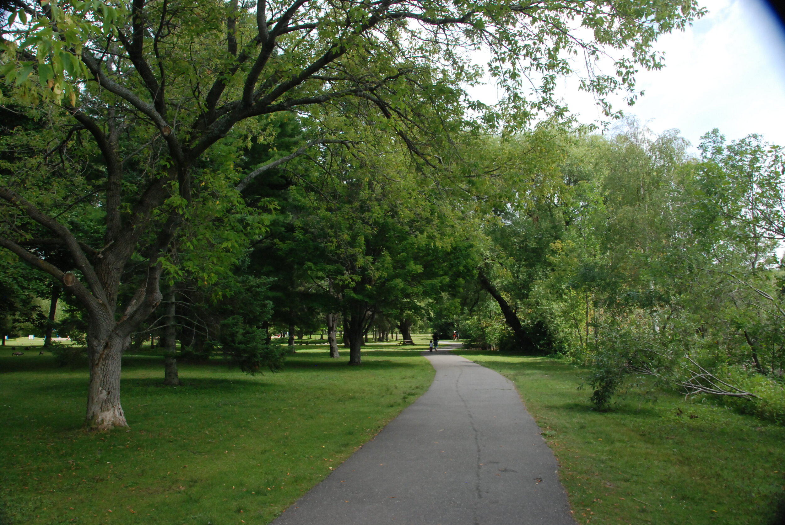 Bellevue Park, SSM