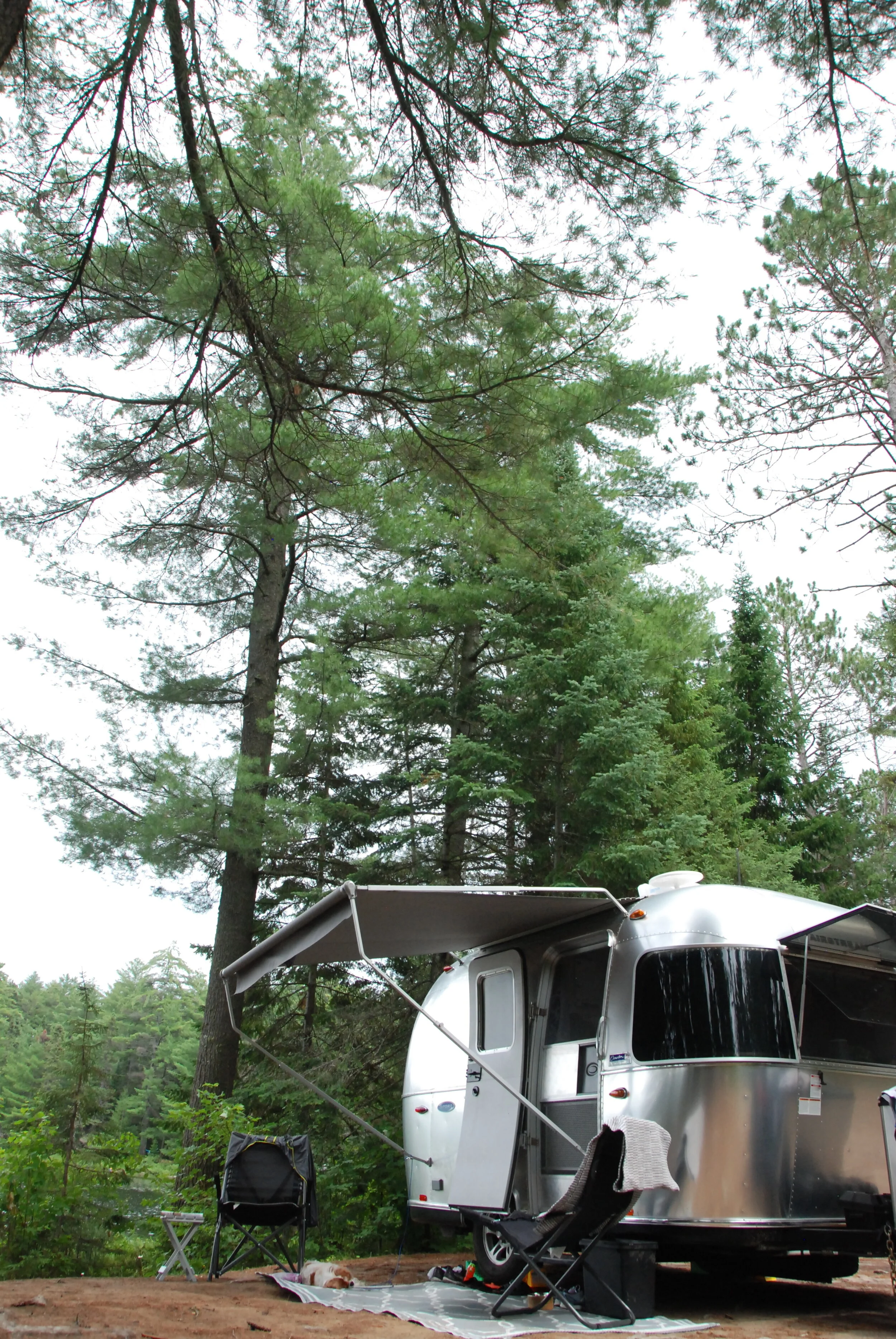 First Trip to Algonquin Park