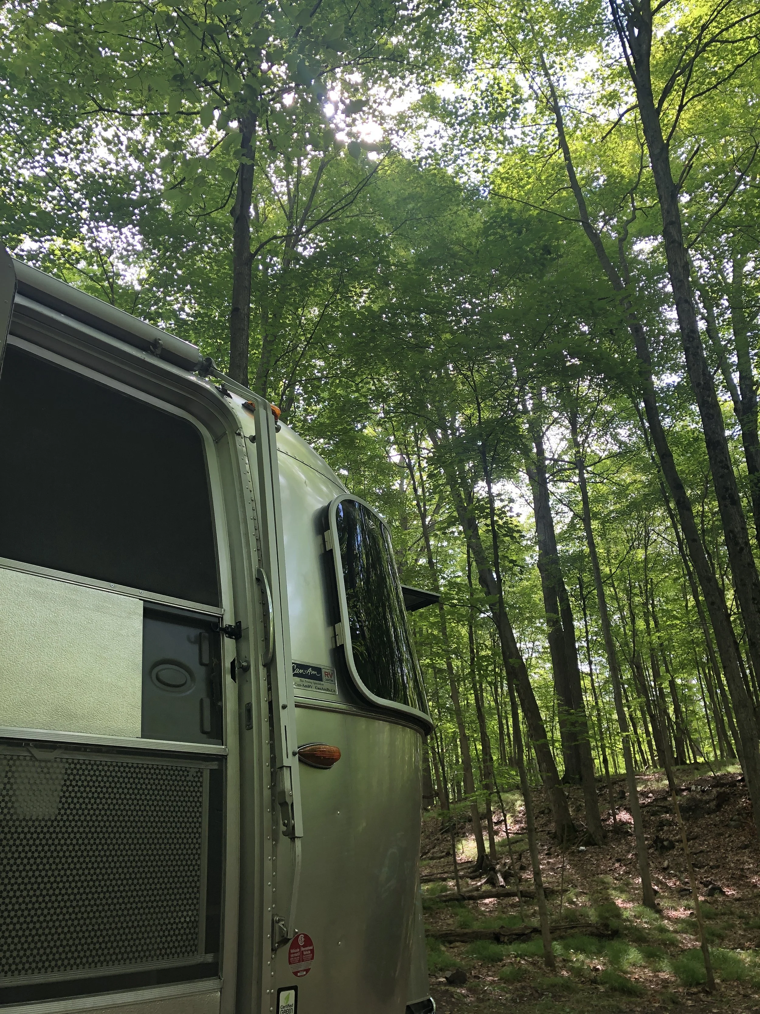Family Camping at Murphy's Point