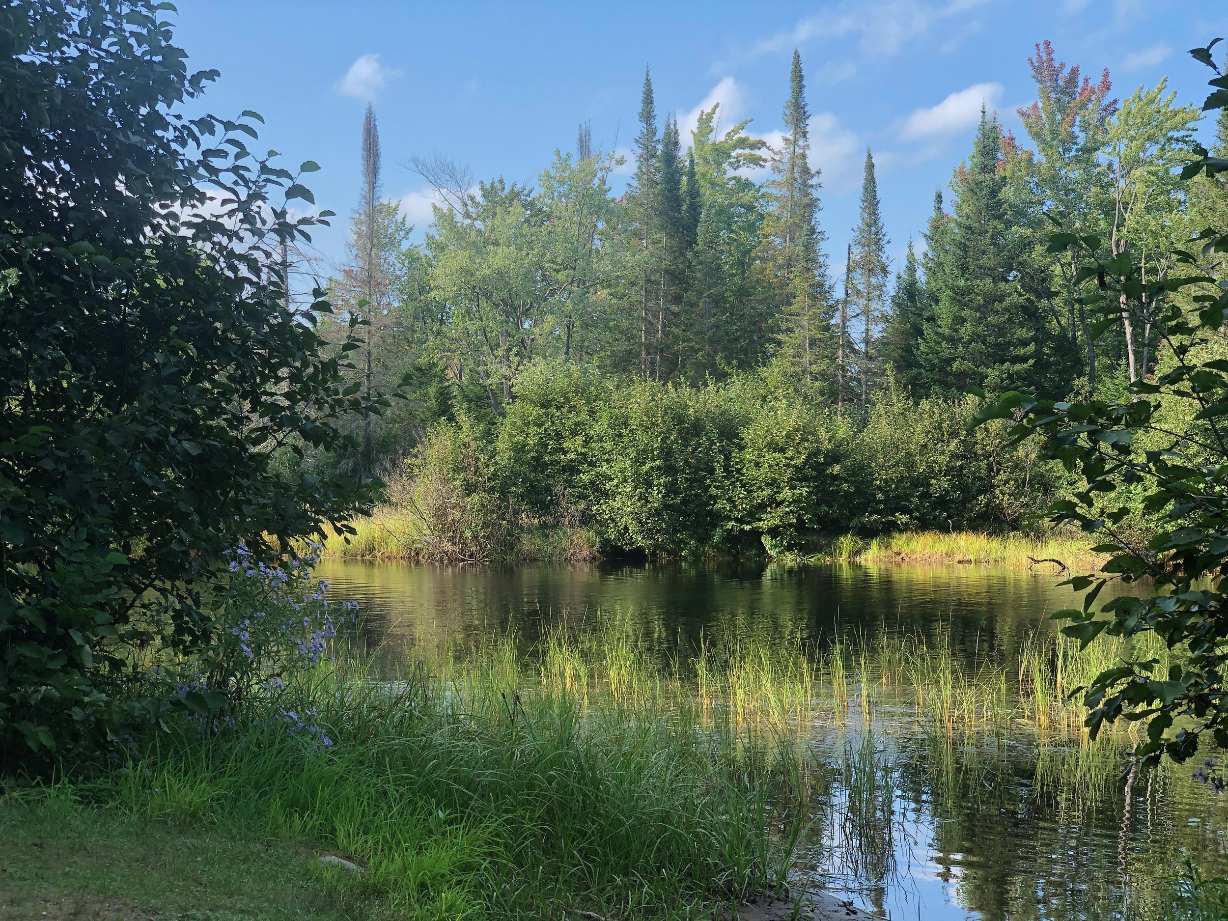 2021-08 Bonnechere - 88 of 149.jpeg