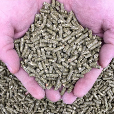 Rabbit Feed