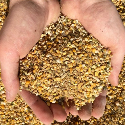 Turkey Grower Feed
