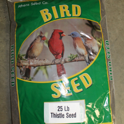 Athens Seed Thistle Seed