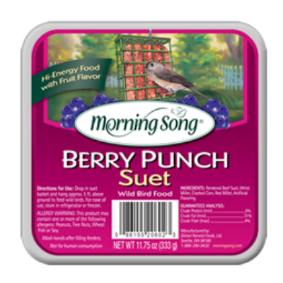 Morning Song Berry Punch Suet