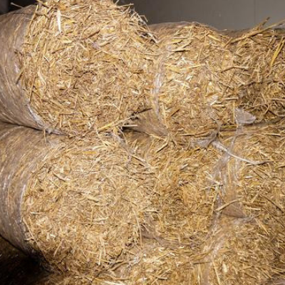 Straw Blanket