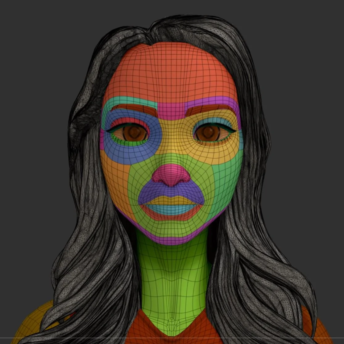 Universal Human Meshes