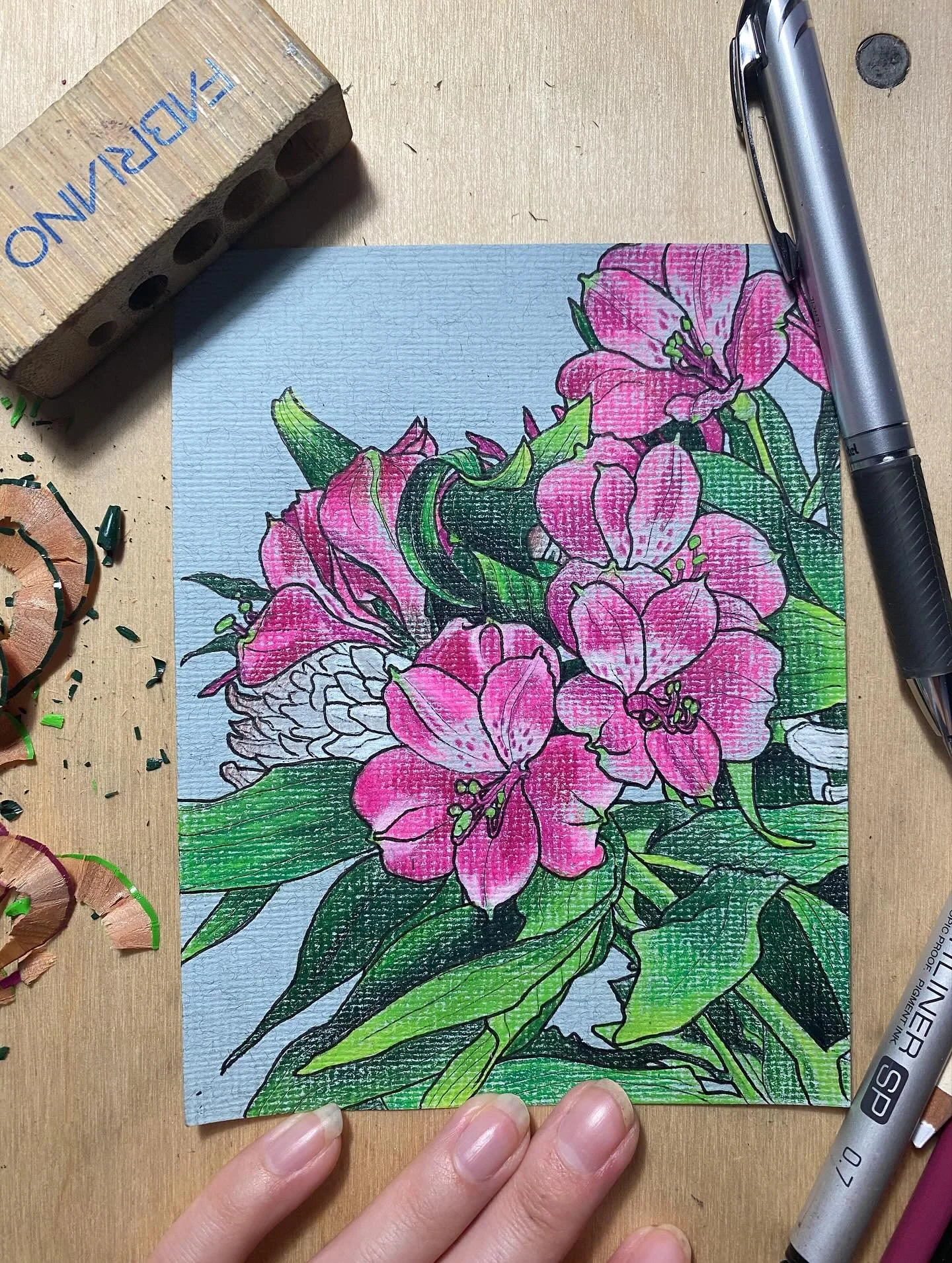 peruvian lilies and white mums

#bouquet #pink #coloredpencil #tonedpaper #drawing