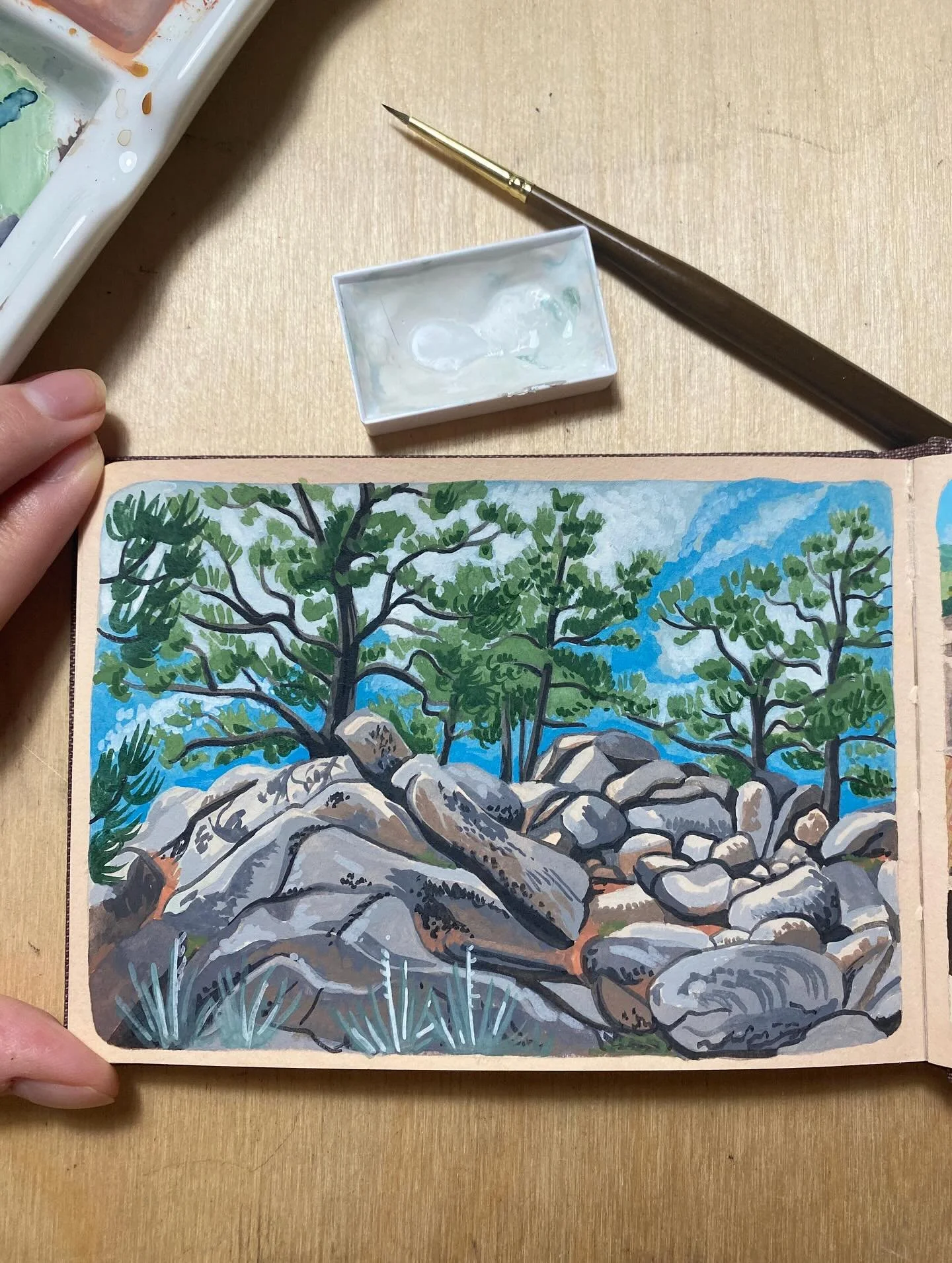boulders in Boulder, CO

#boulder #gouache #landscapepaintings #sketchbook #apaintingaday