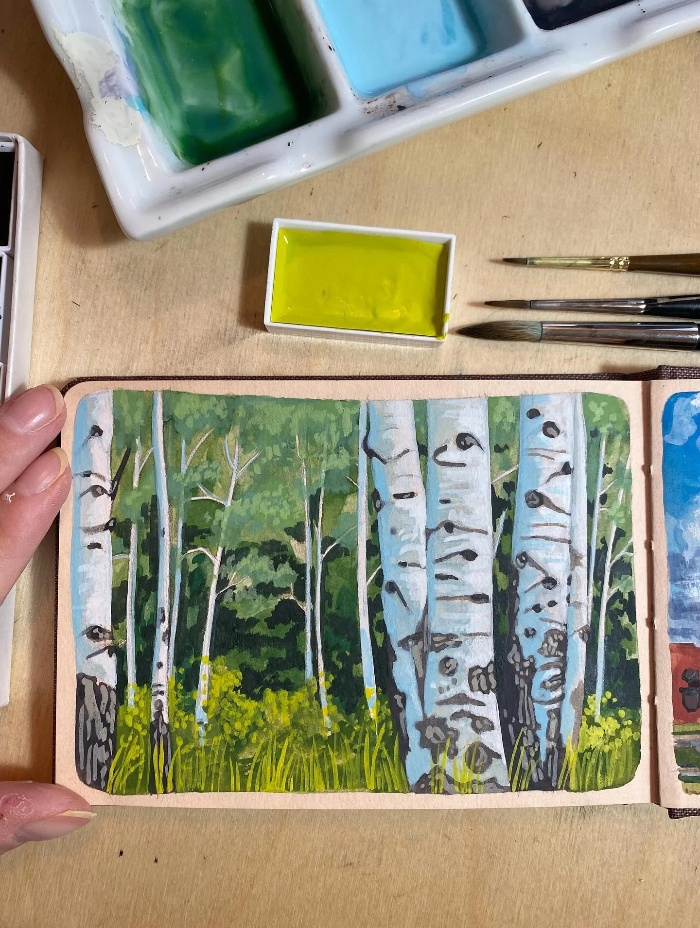 some aspens

#aspentrees #moabutah #gouache #apaintingaday #sketchbook