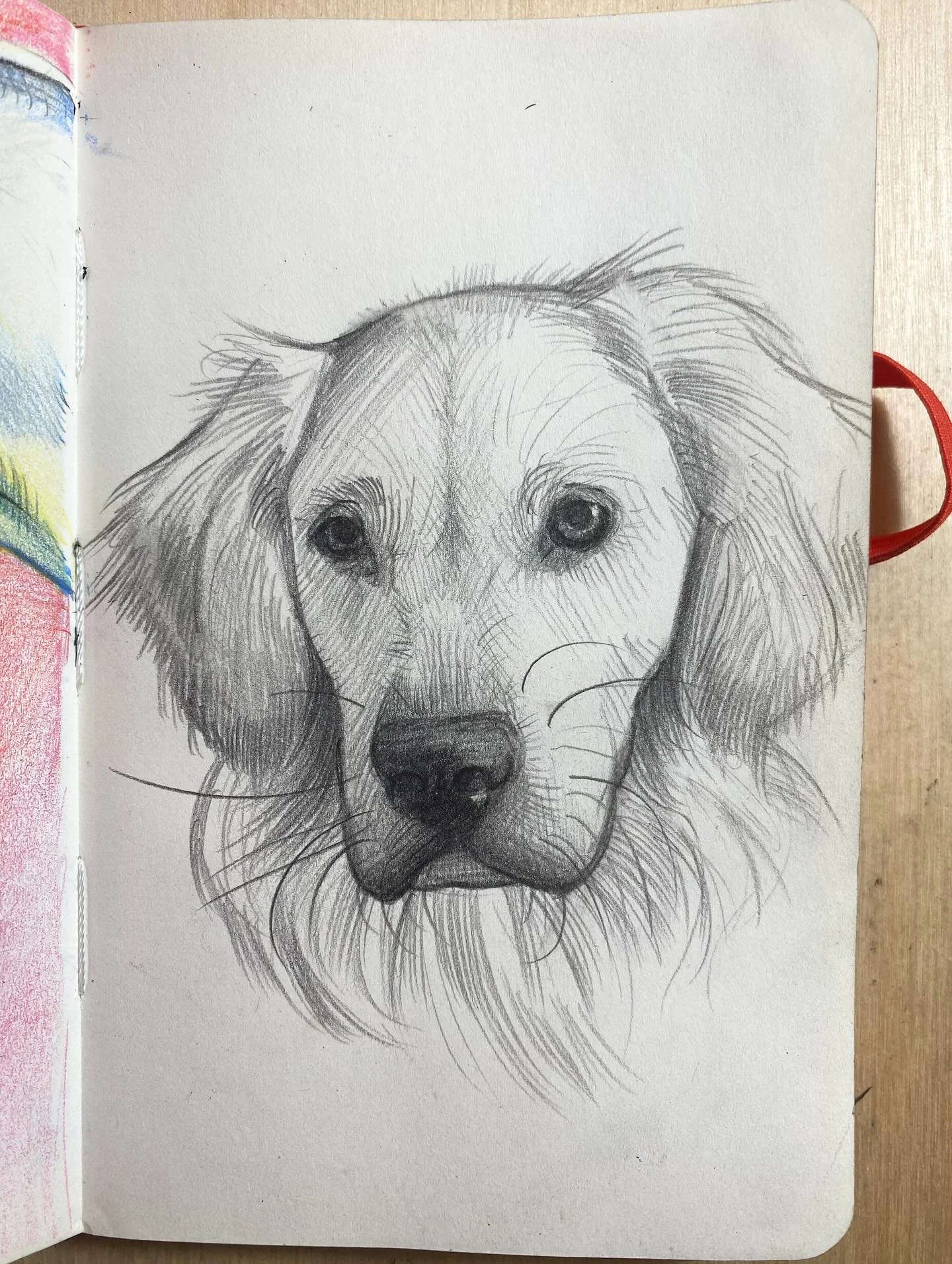 @drumroll_for_tempo #adrawingaday #graphitesketch #sketchbook #goldenretriever #puppyeyes