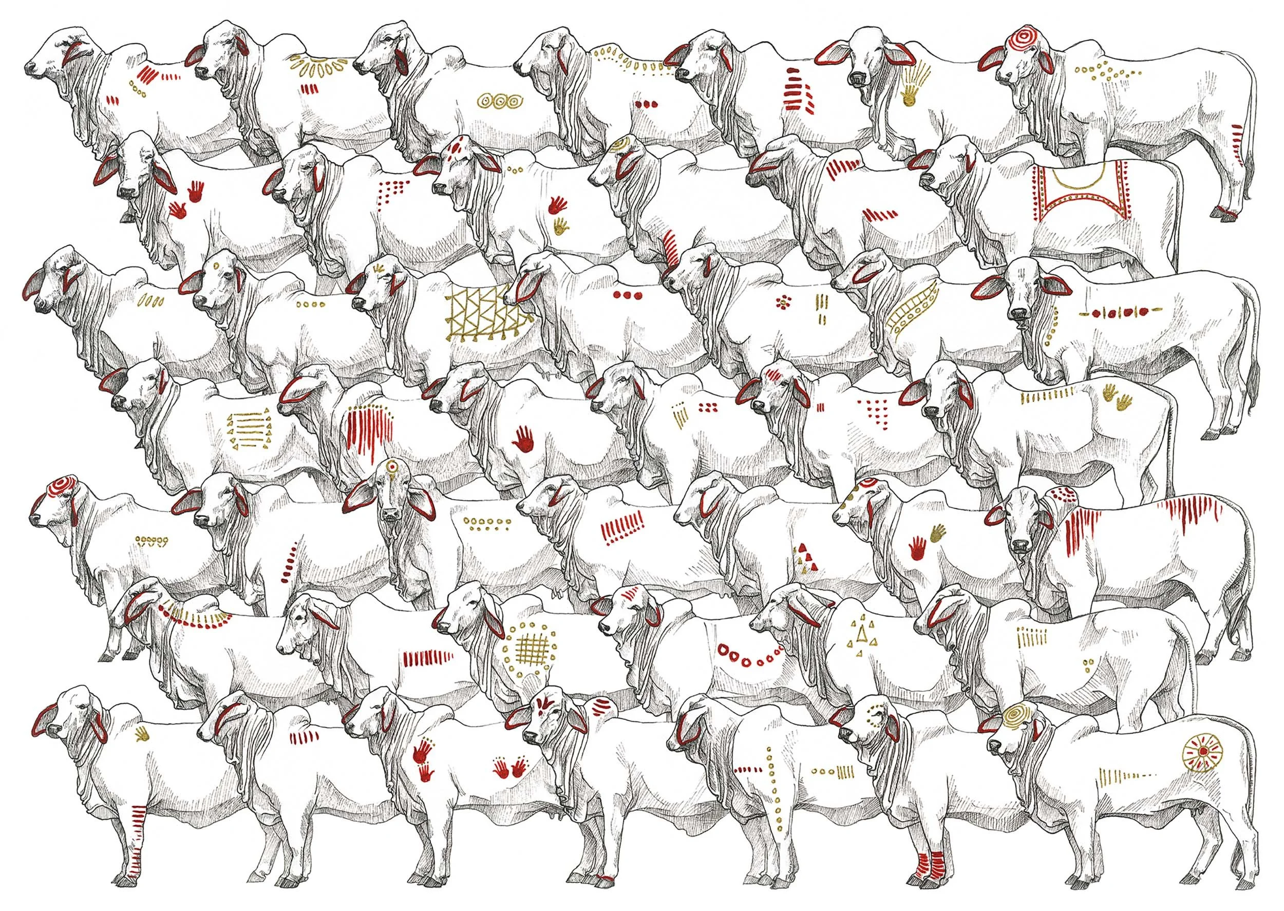46_brahmans_for_web.jpg