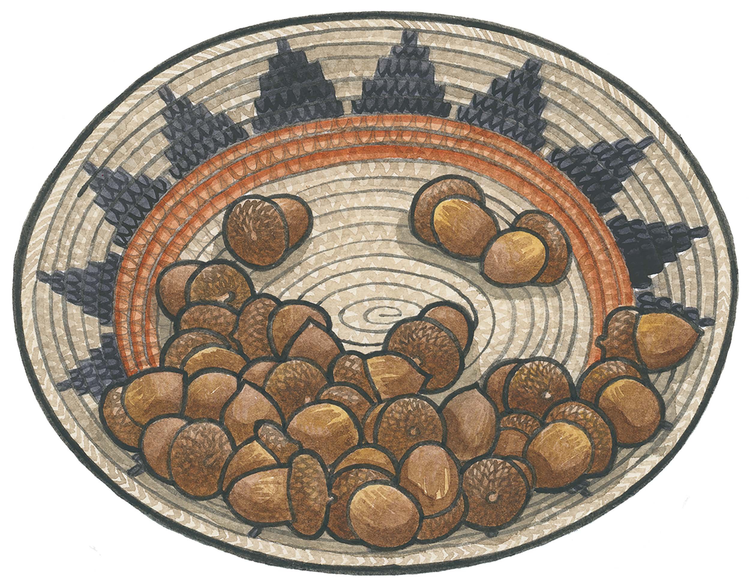 basket_of_acorns_for_web.jpg
