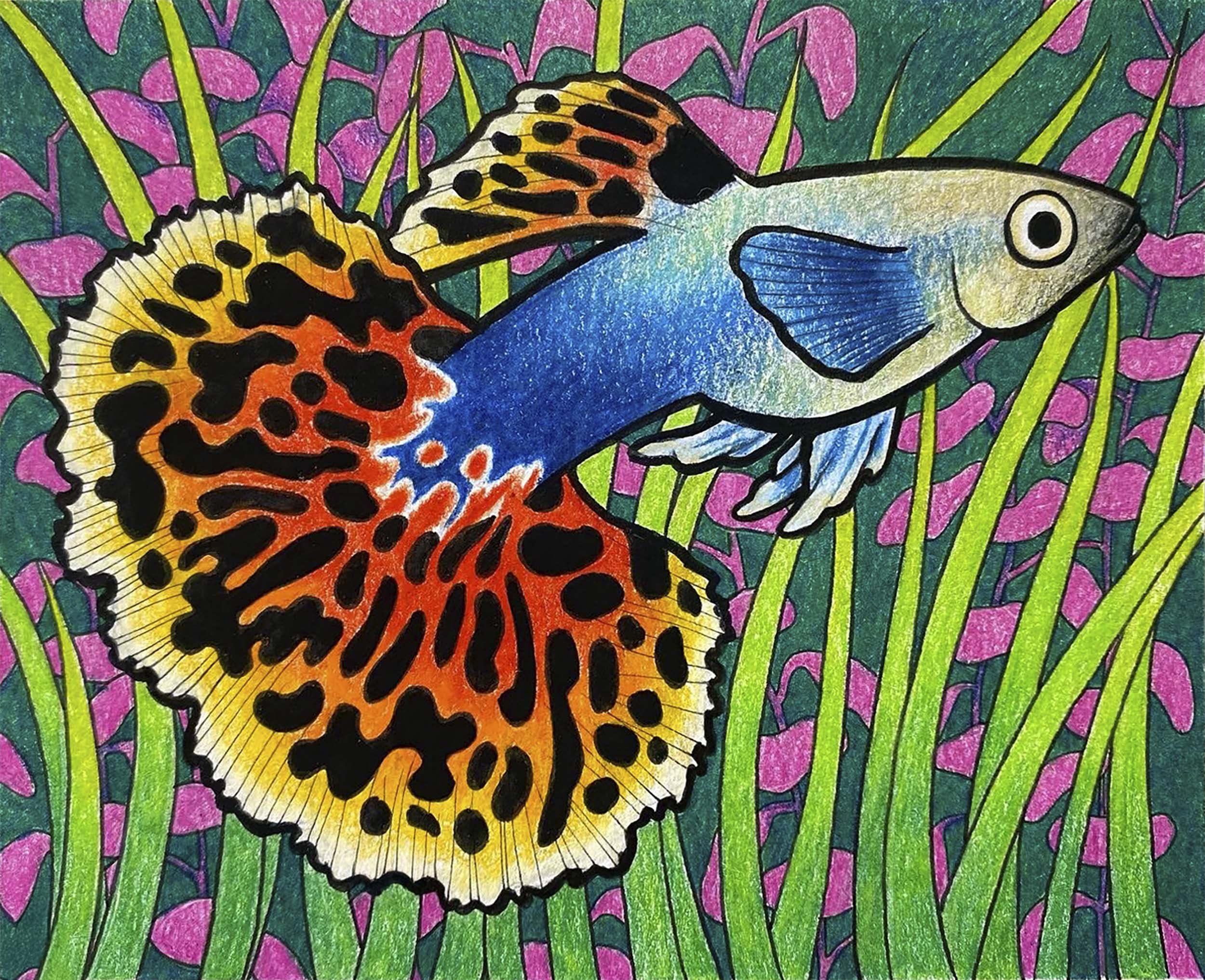 guppy_for_web.jpg