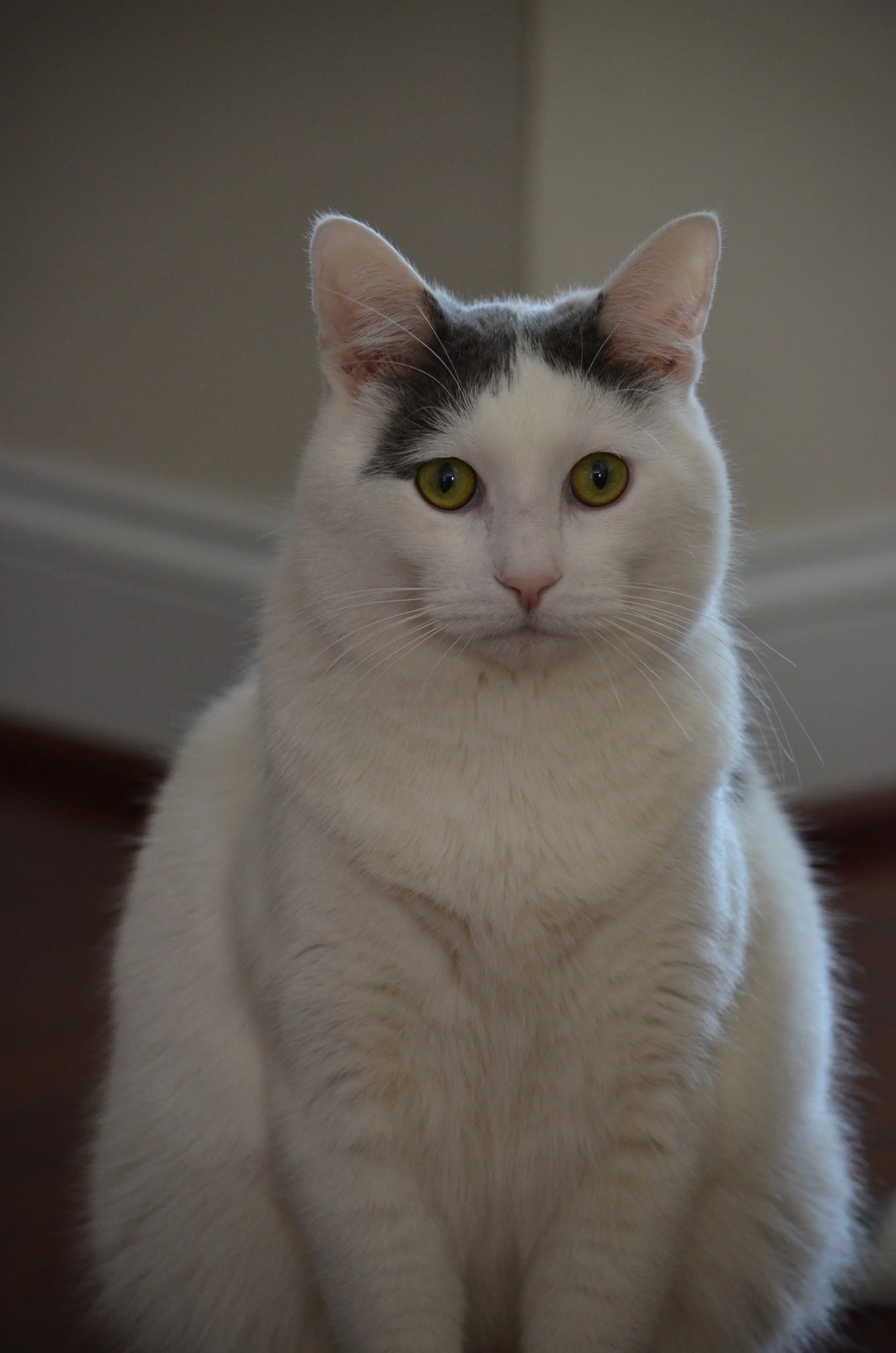 DSC_2941.JPG